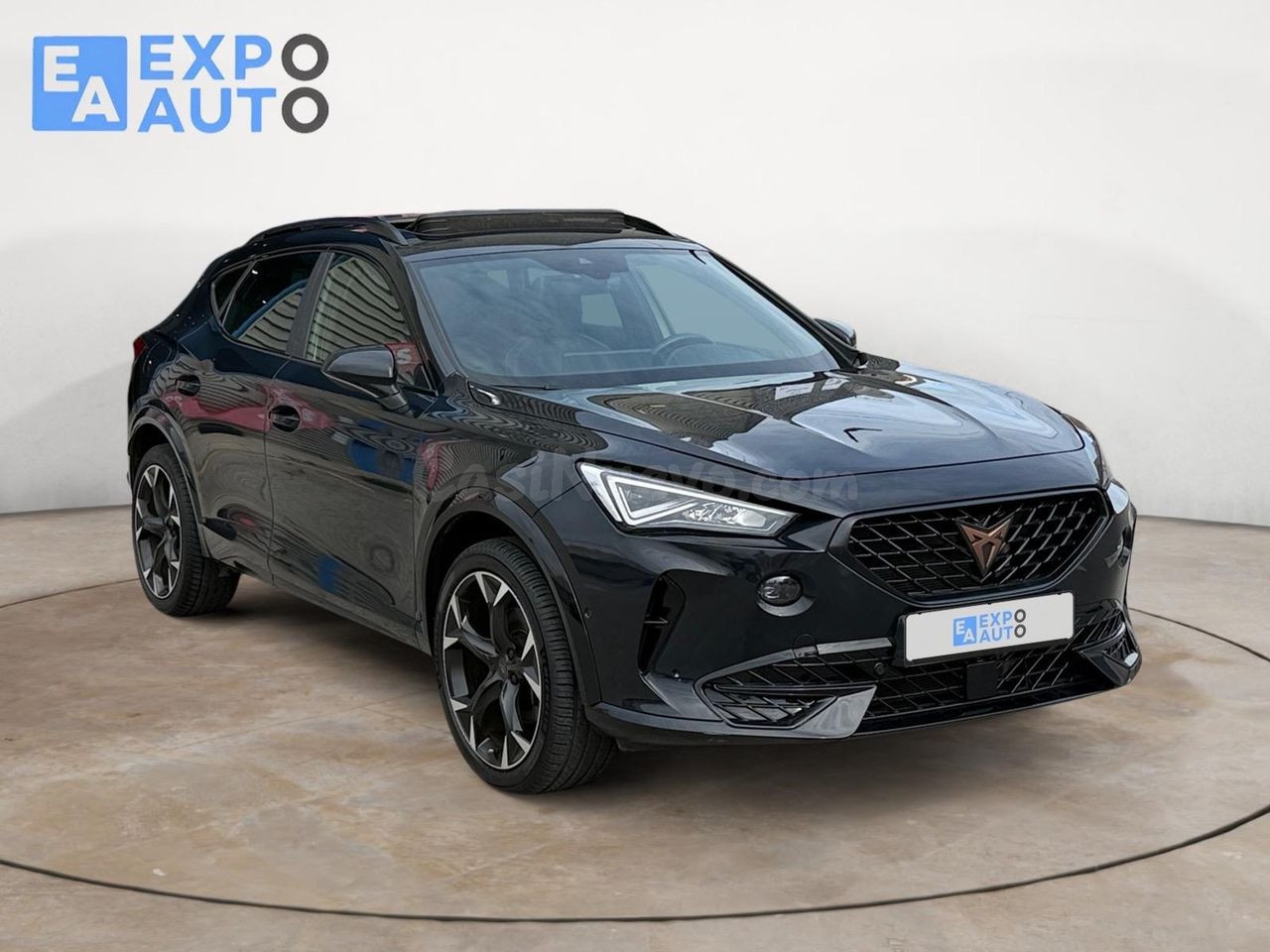 Cupra Formentor 1.5 TSI 110kW (150 CV) DSG