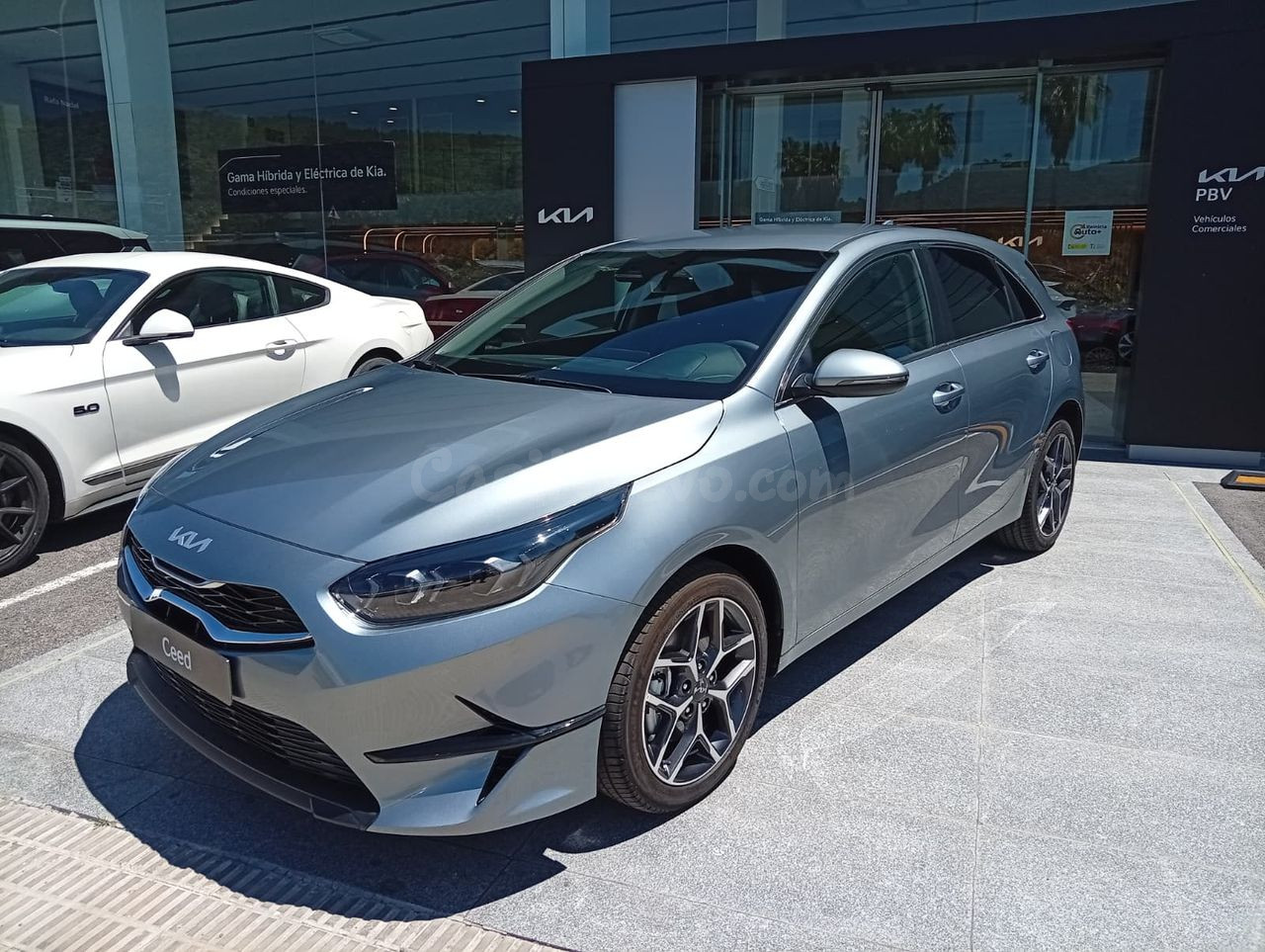 Kia Ceed 1.5 MHEV 103kW (140CV) Tech DCT