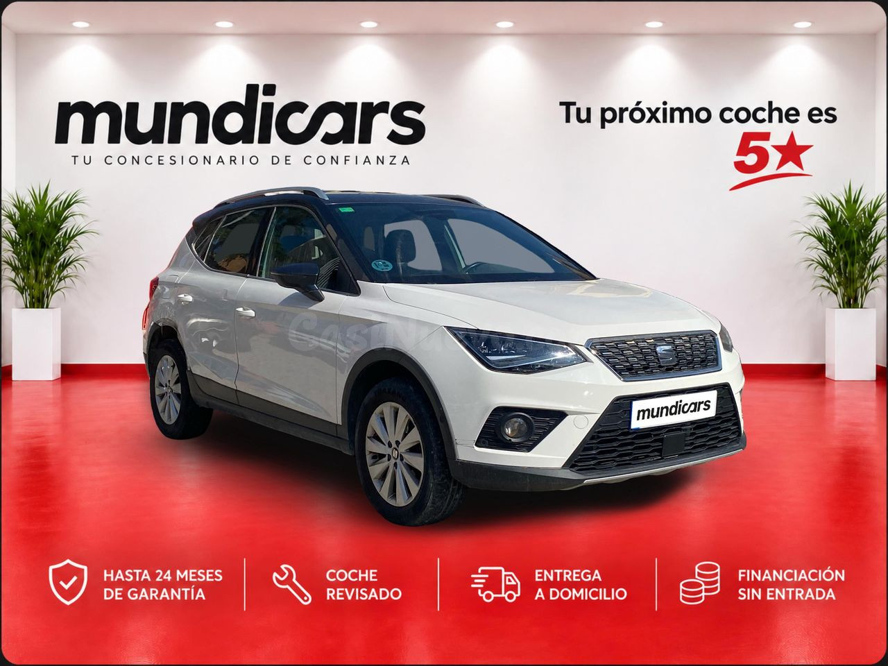 Seat Arona 1.0 TSI 85kW (115CV) DSG Xcellence Eco