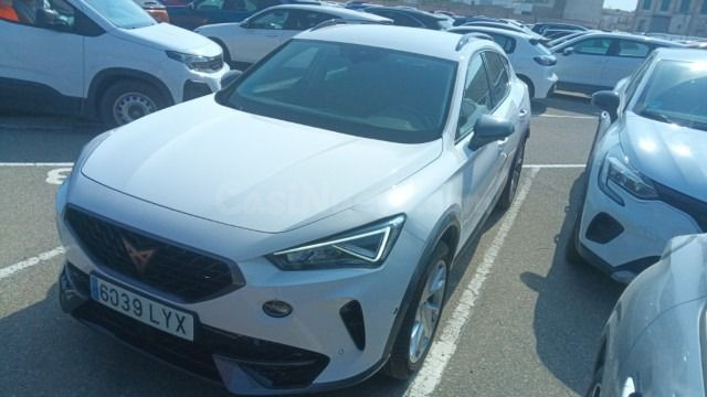 Cupra Formentor 2.0 TSI 140kW (190 CV) 4Drive DSG (2022)