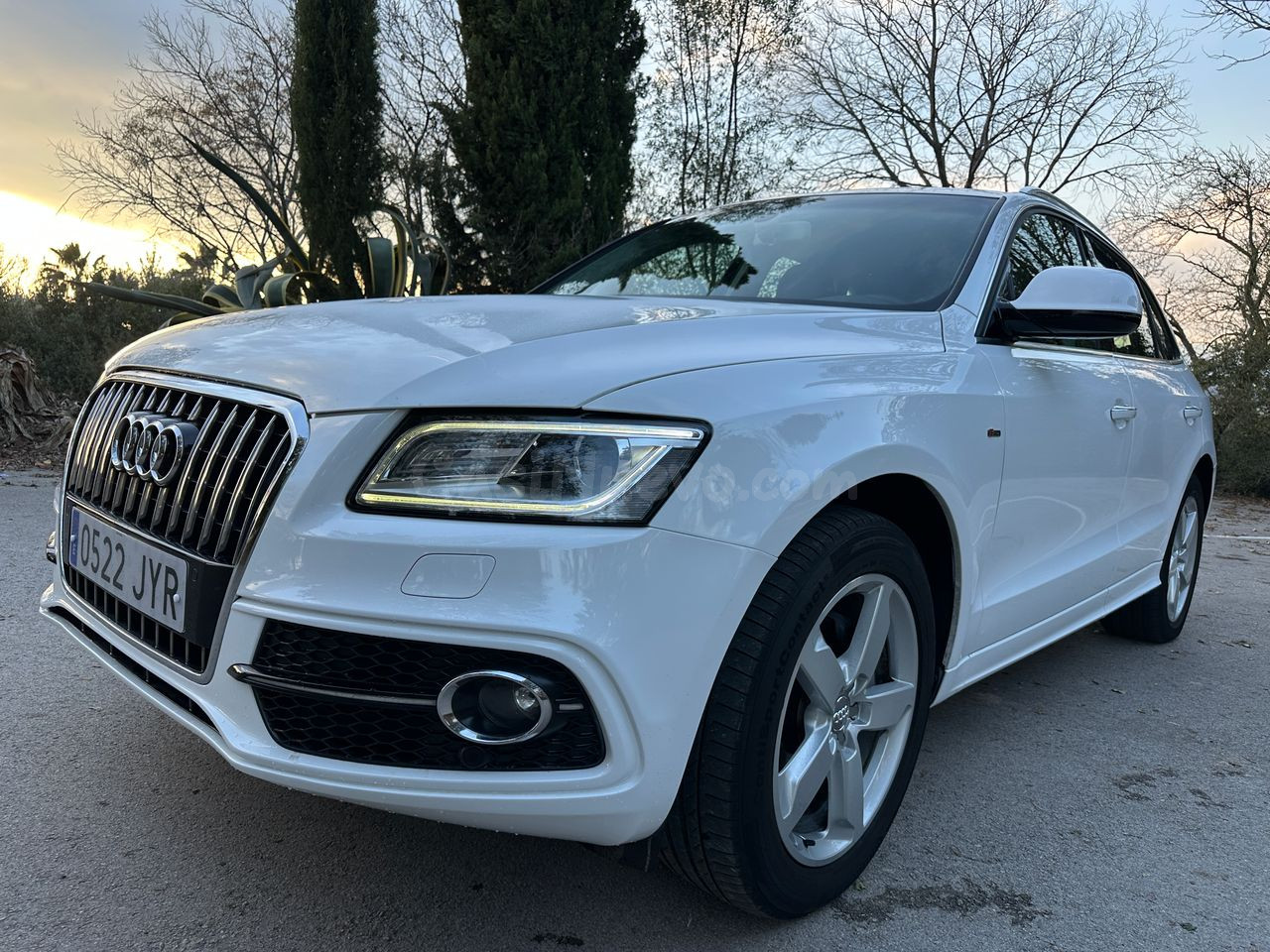 Audi Q5 2.0 TDI 150cv S Line