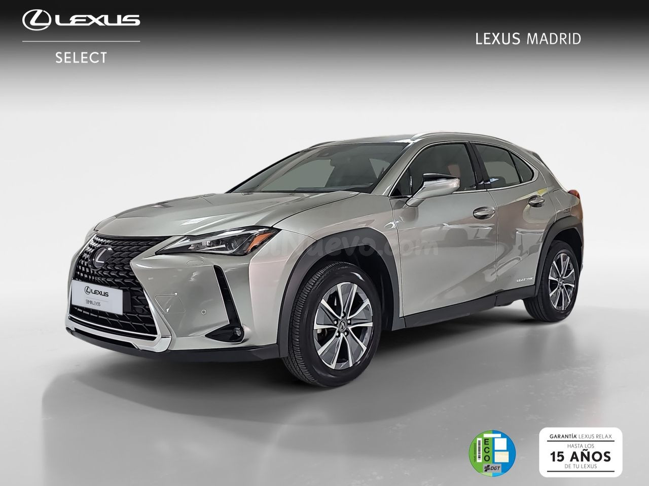 Lexus UX 300e Business