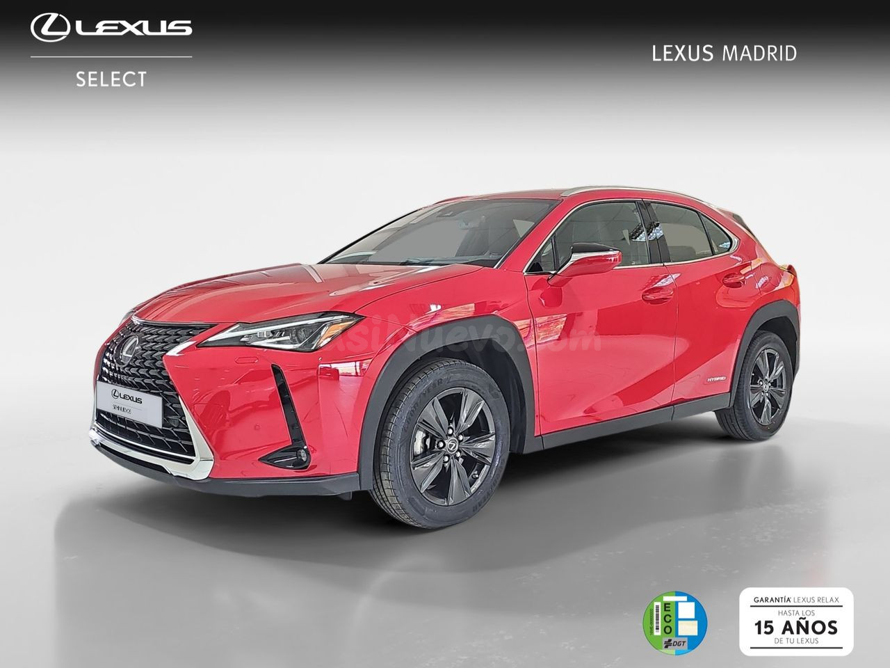 Lexus UX 2.0 250h Business