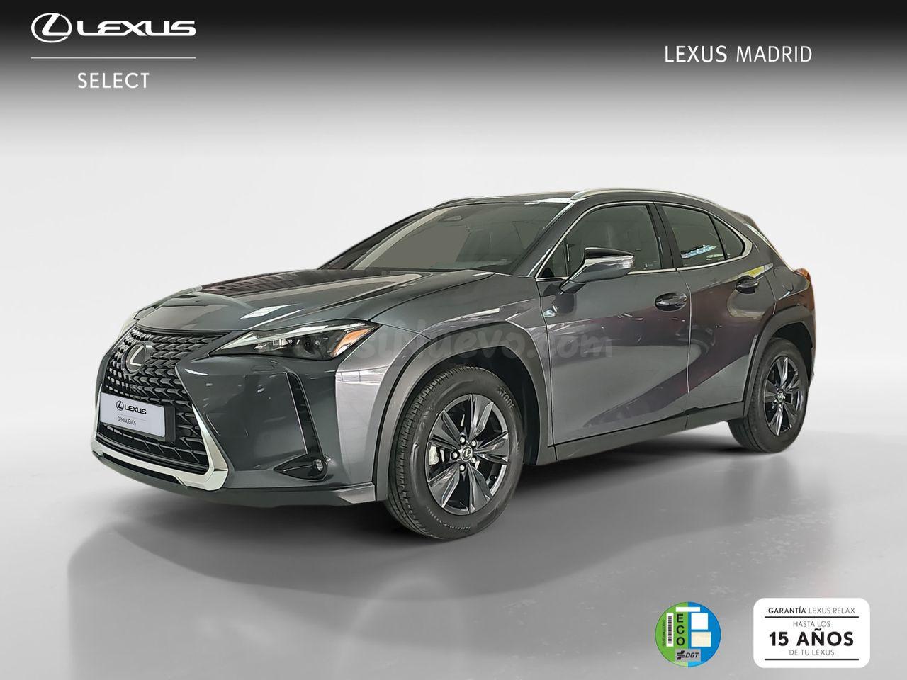 Lexus UX 2.0 300h UX Plus