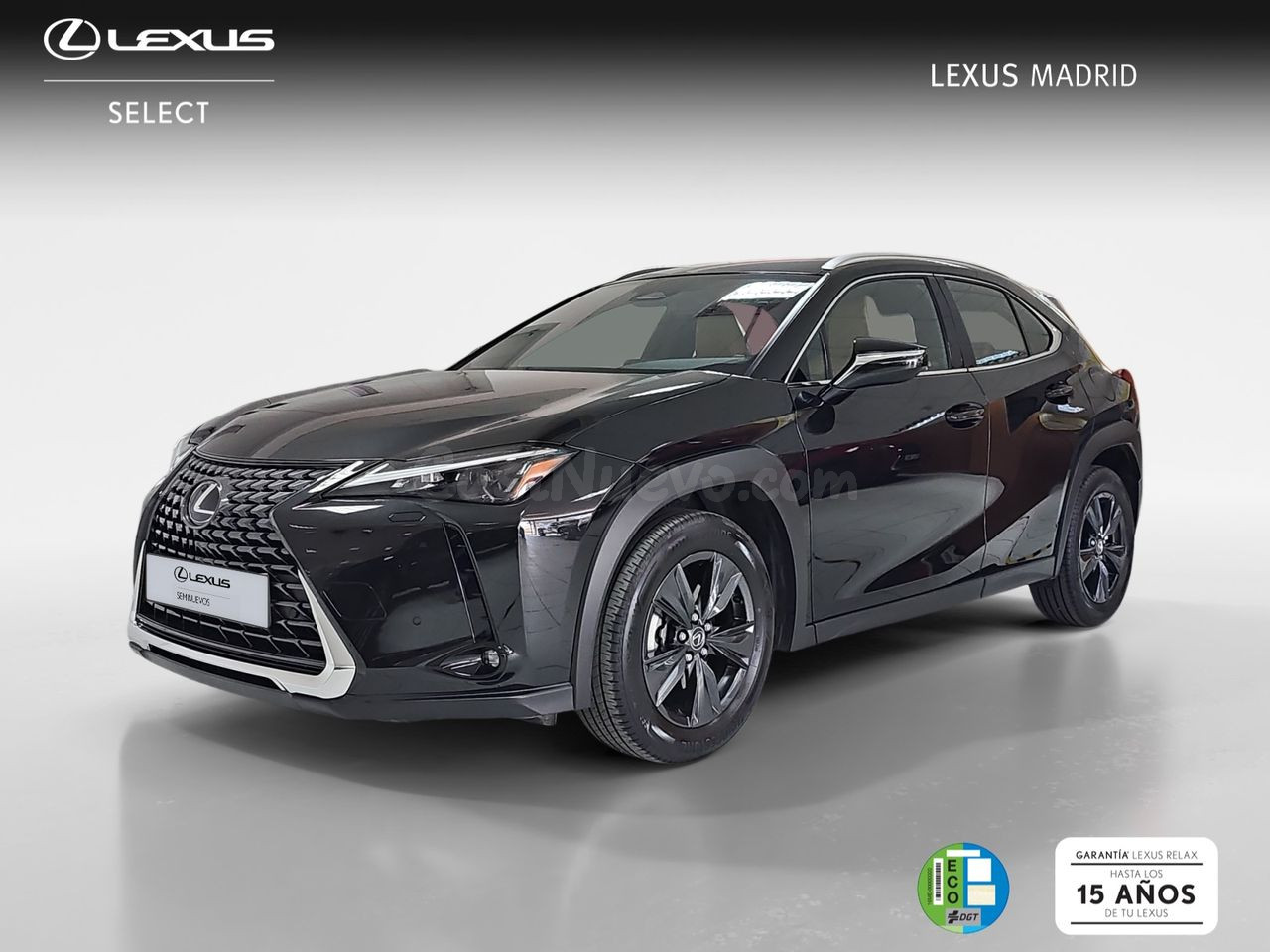 Lexus UX 2.0 300h UX Plus