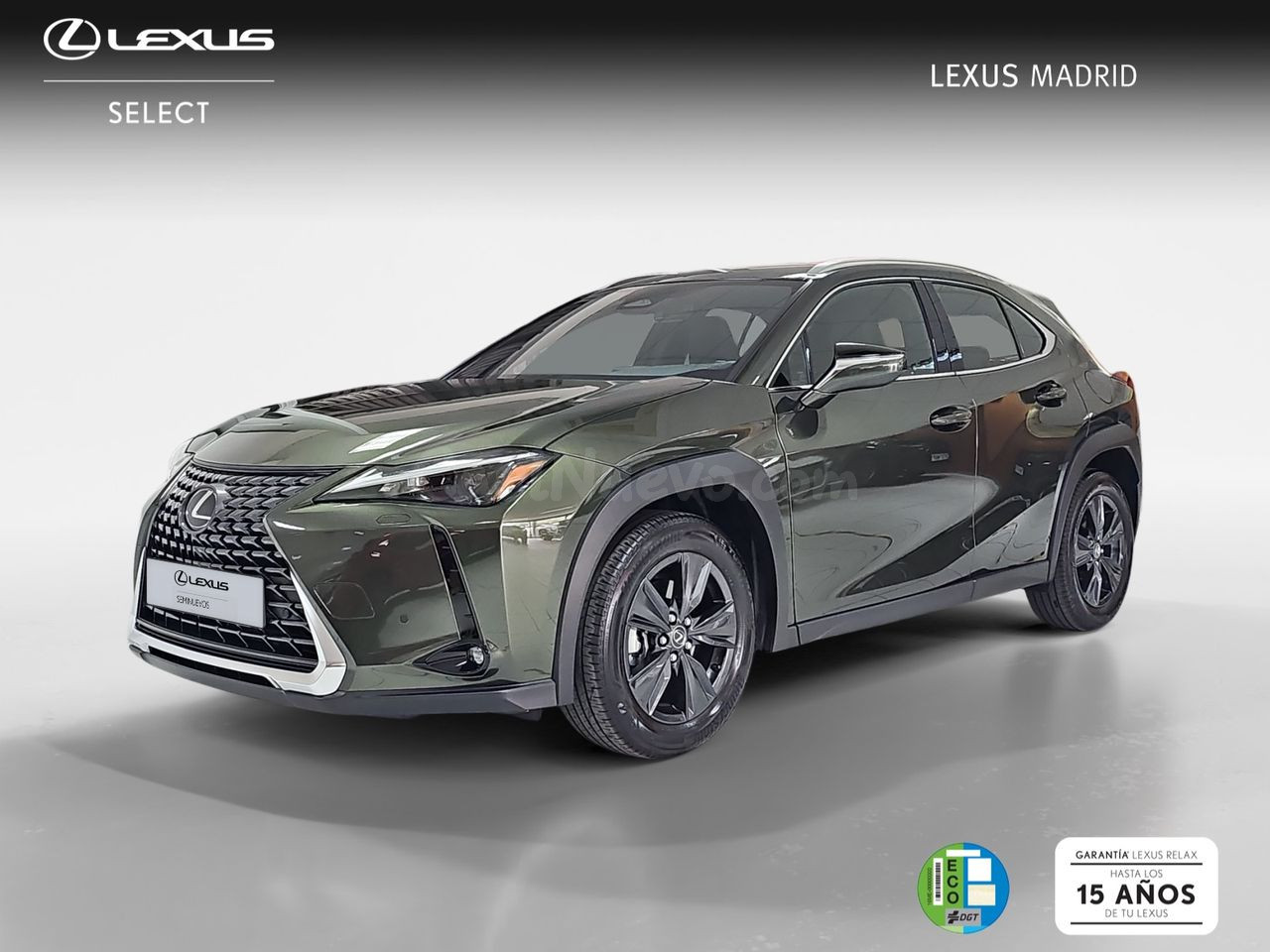 Lexus UX 2.0 300h UX Plus