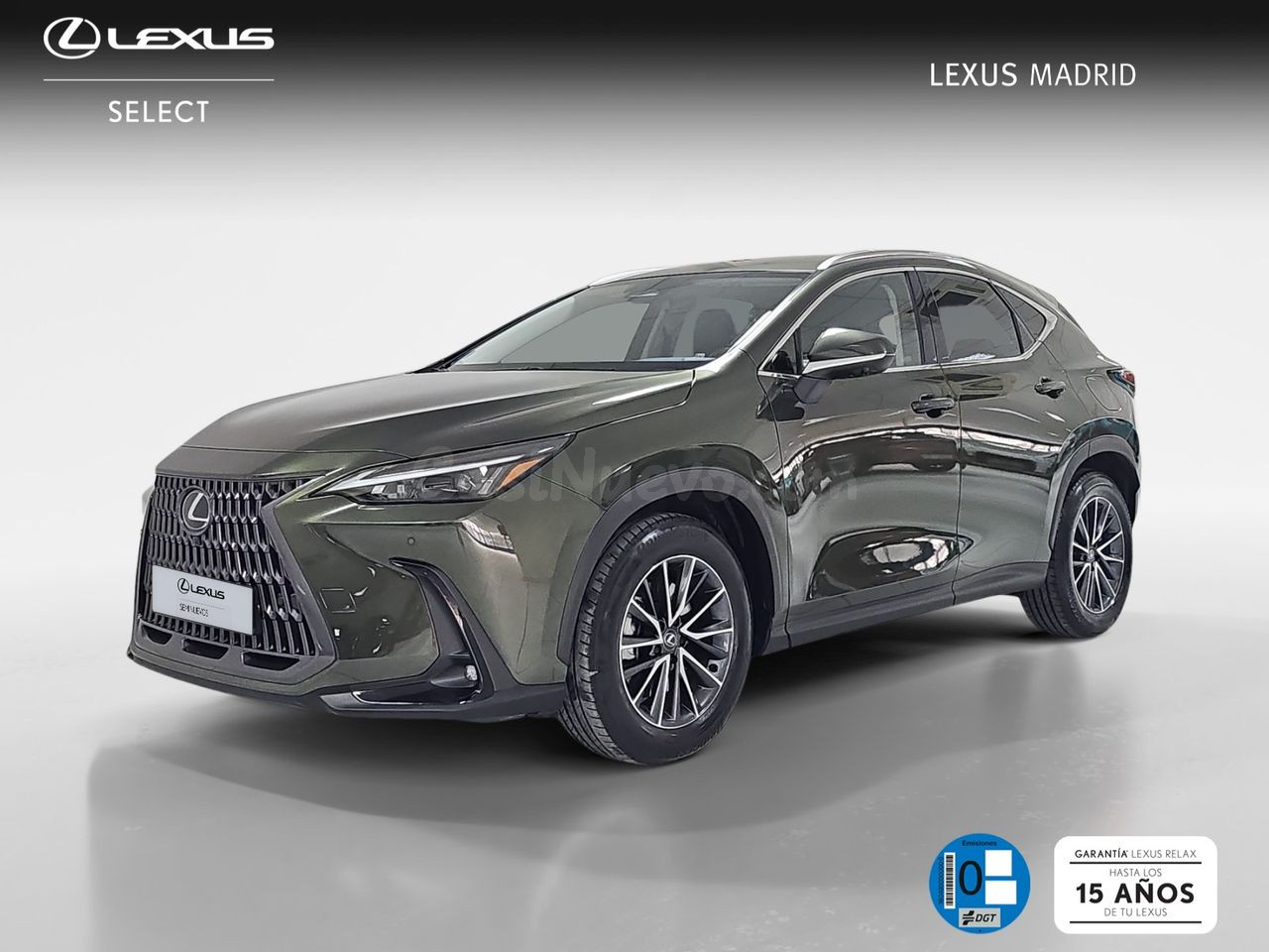 Lexus NX 450h+ Executive+ 4WD