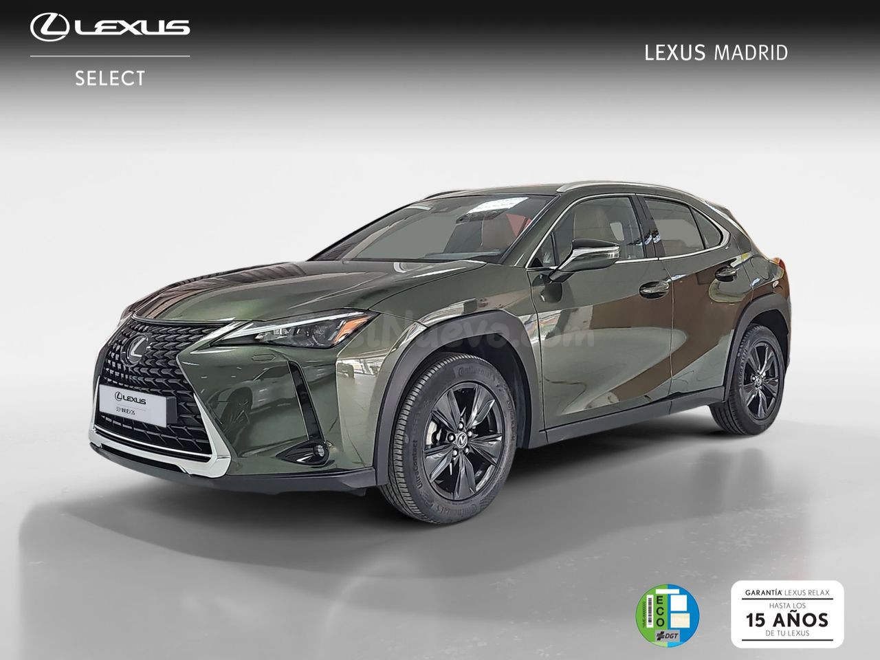 Lexus UX 2.0 250h Business