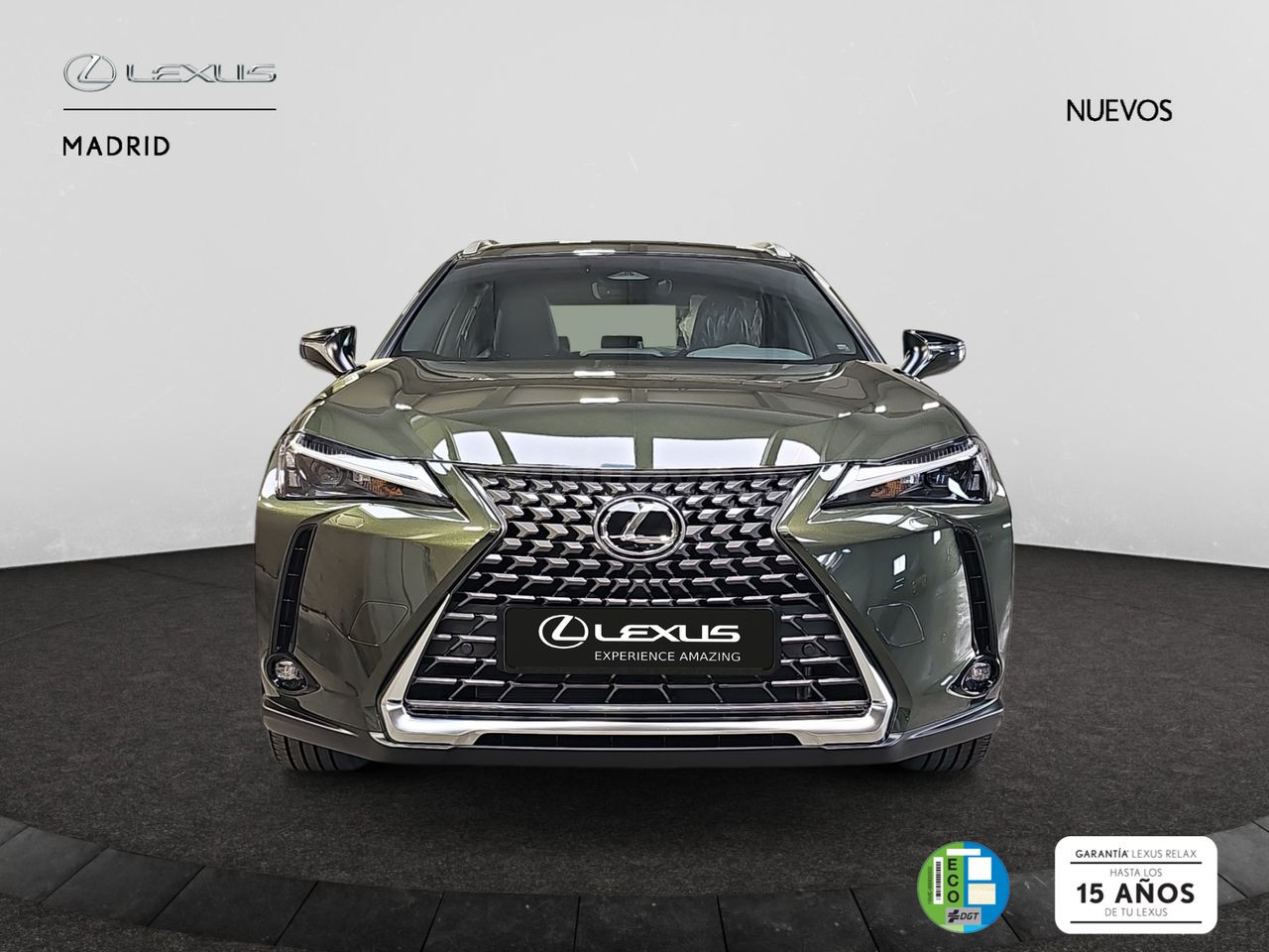 Lexus UX 300h Urban