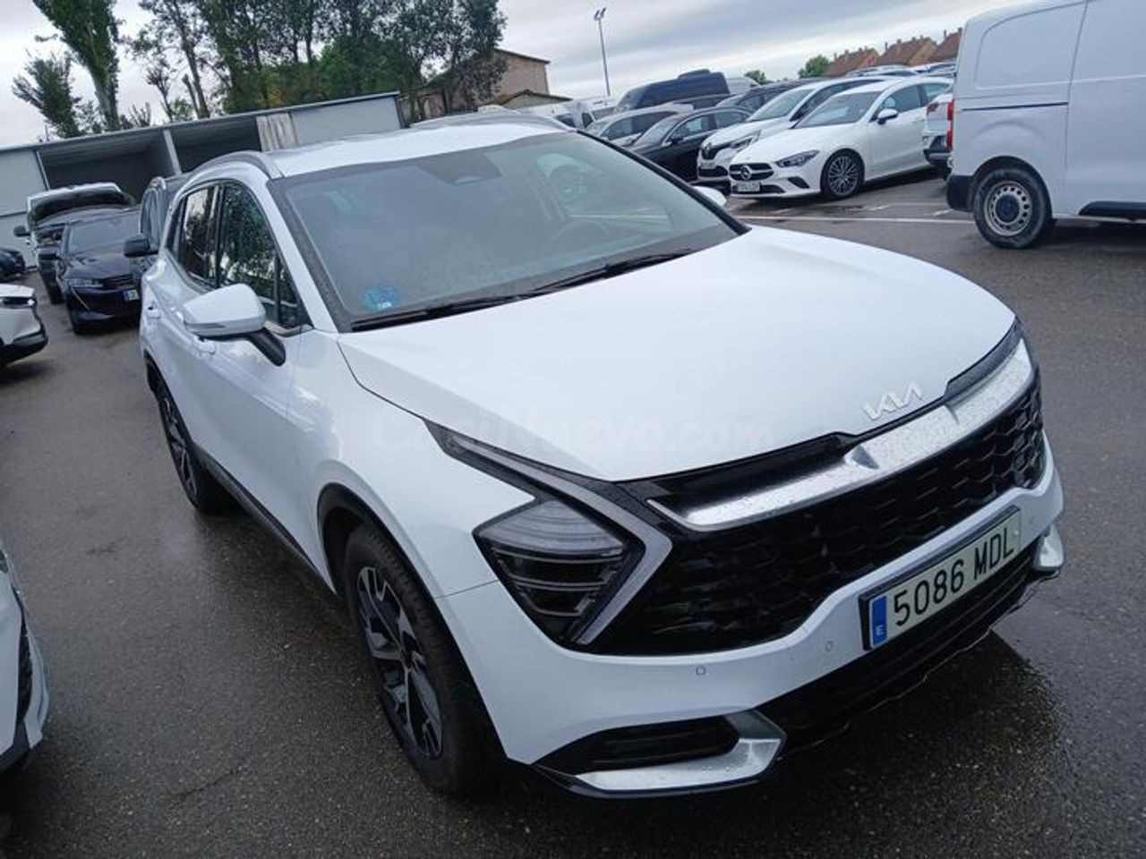 Kia Sportage 1.6 CRDi MHEV 100kW (136CV) Tech 4x2 DCT