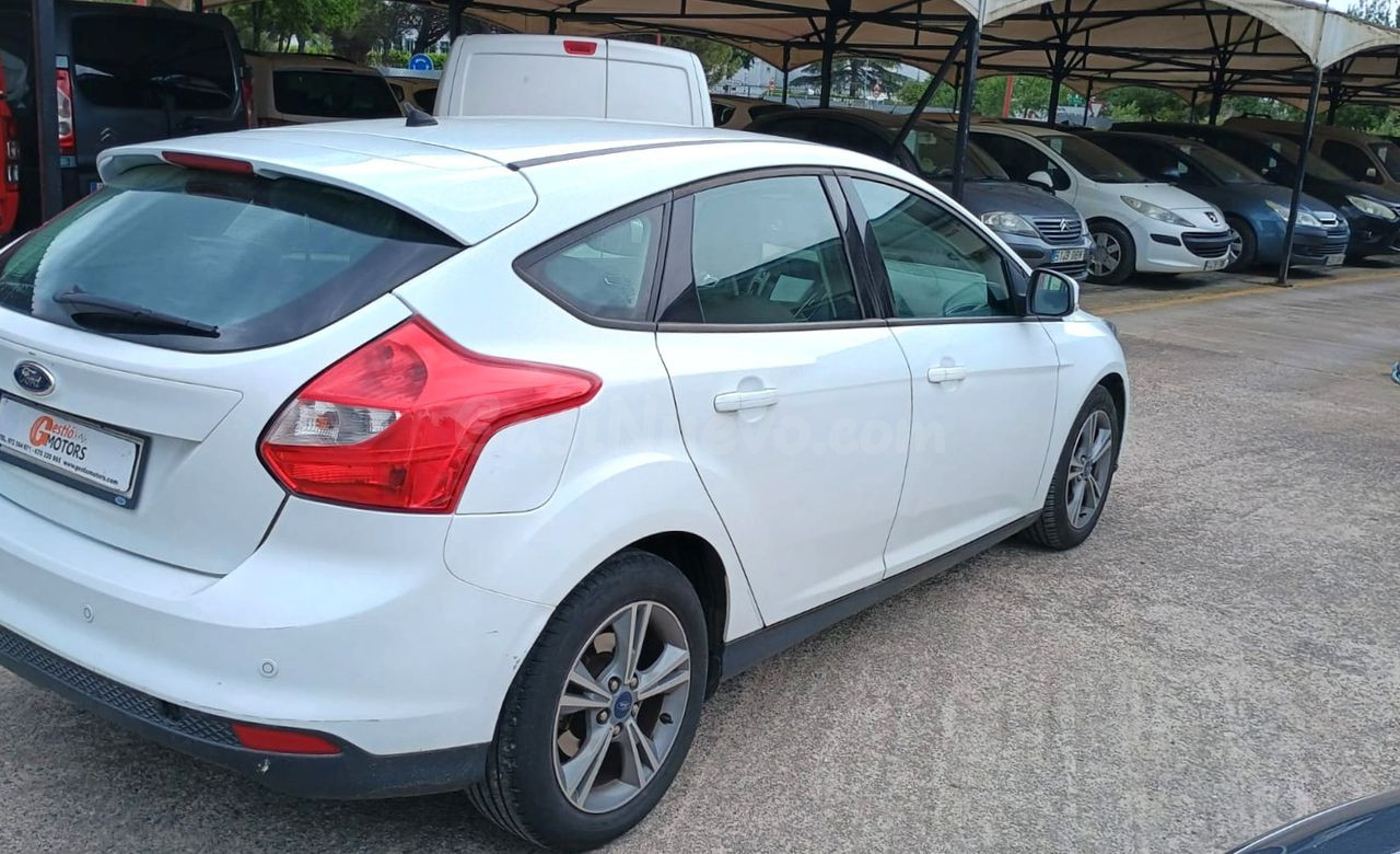 Ford Focus Berlina Trend 1.6 TDCi 115 CV - foto 4
