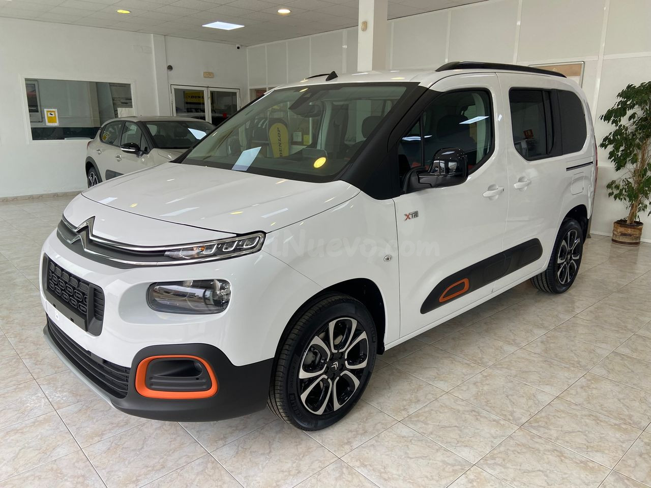 Citroën Berlingo Talla M BlueHDi 130 S&S EAT8 Shine