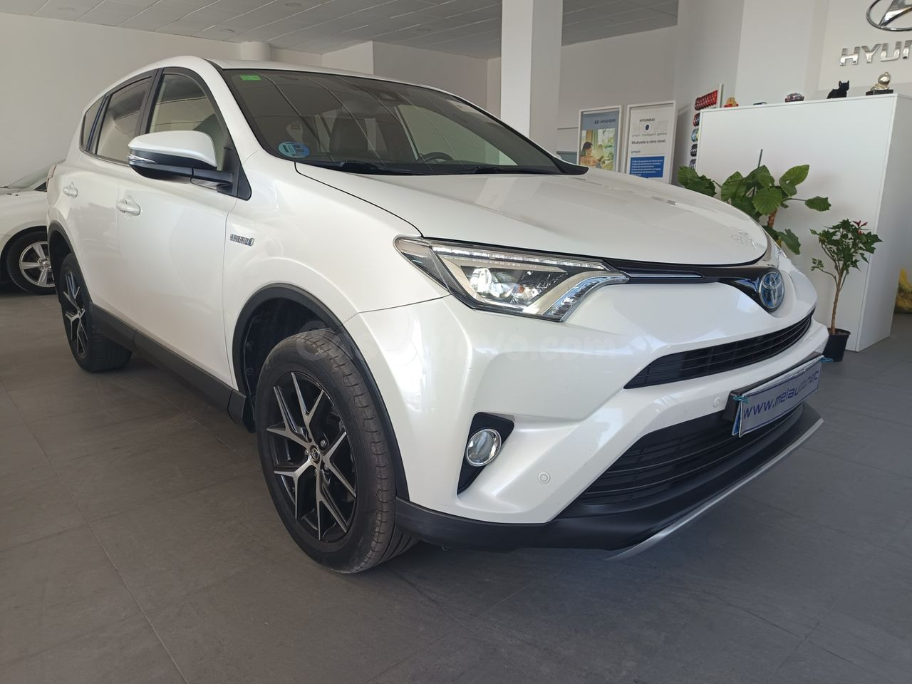 Toyota Rav4 FEEL