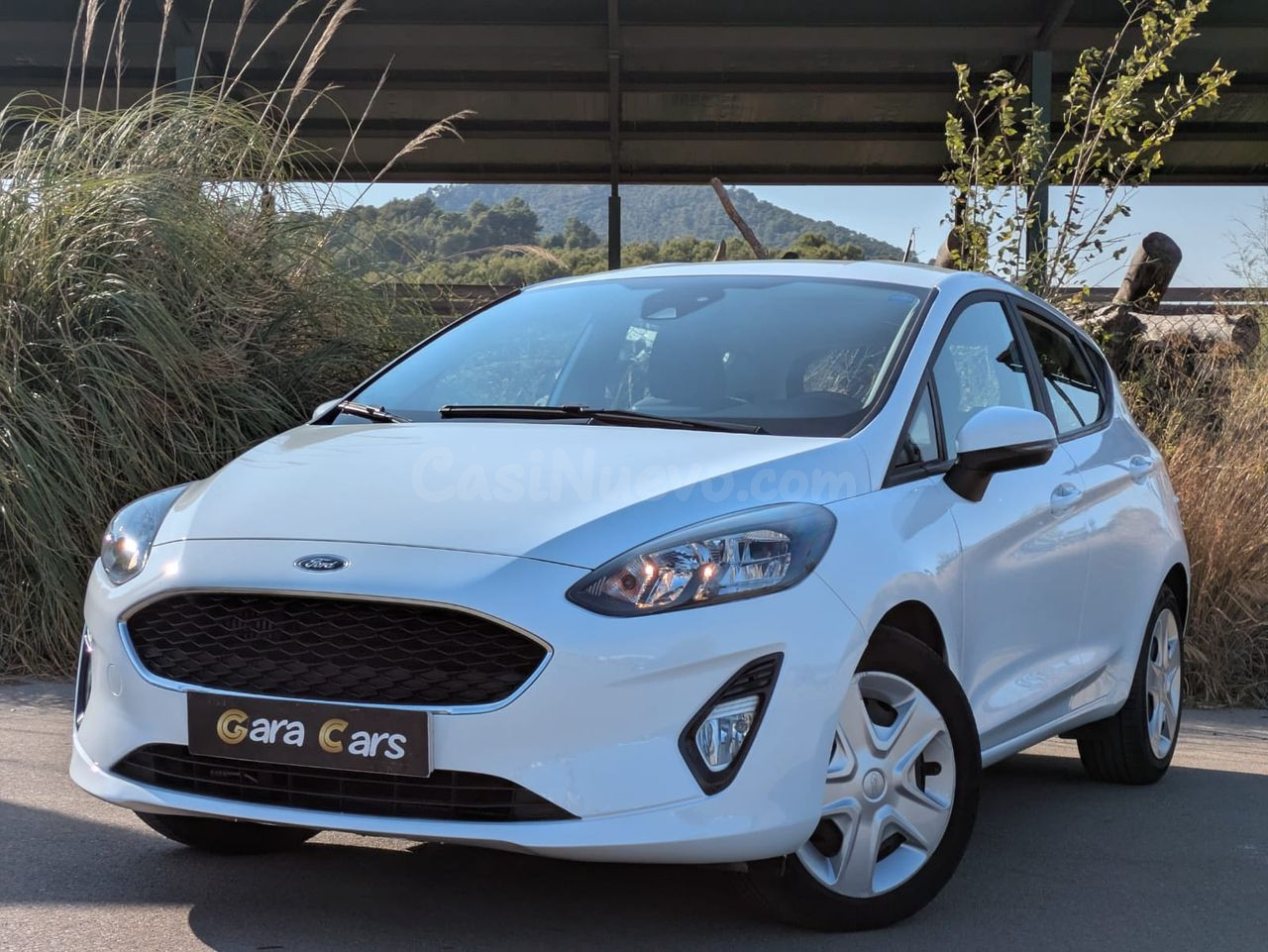 Ford Fiesta 5p Trend 1.0 EcoBoost 74 kW