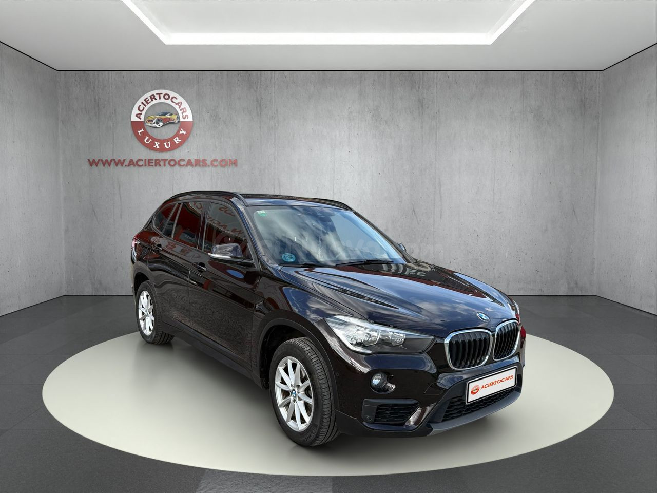 BMW X1 SDIVE