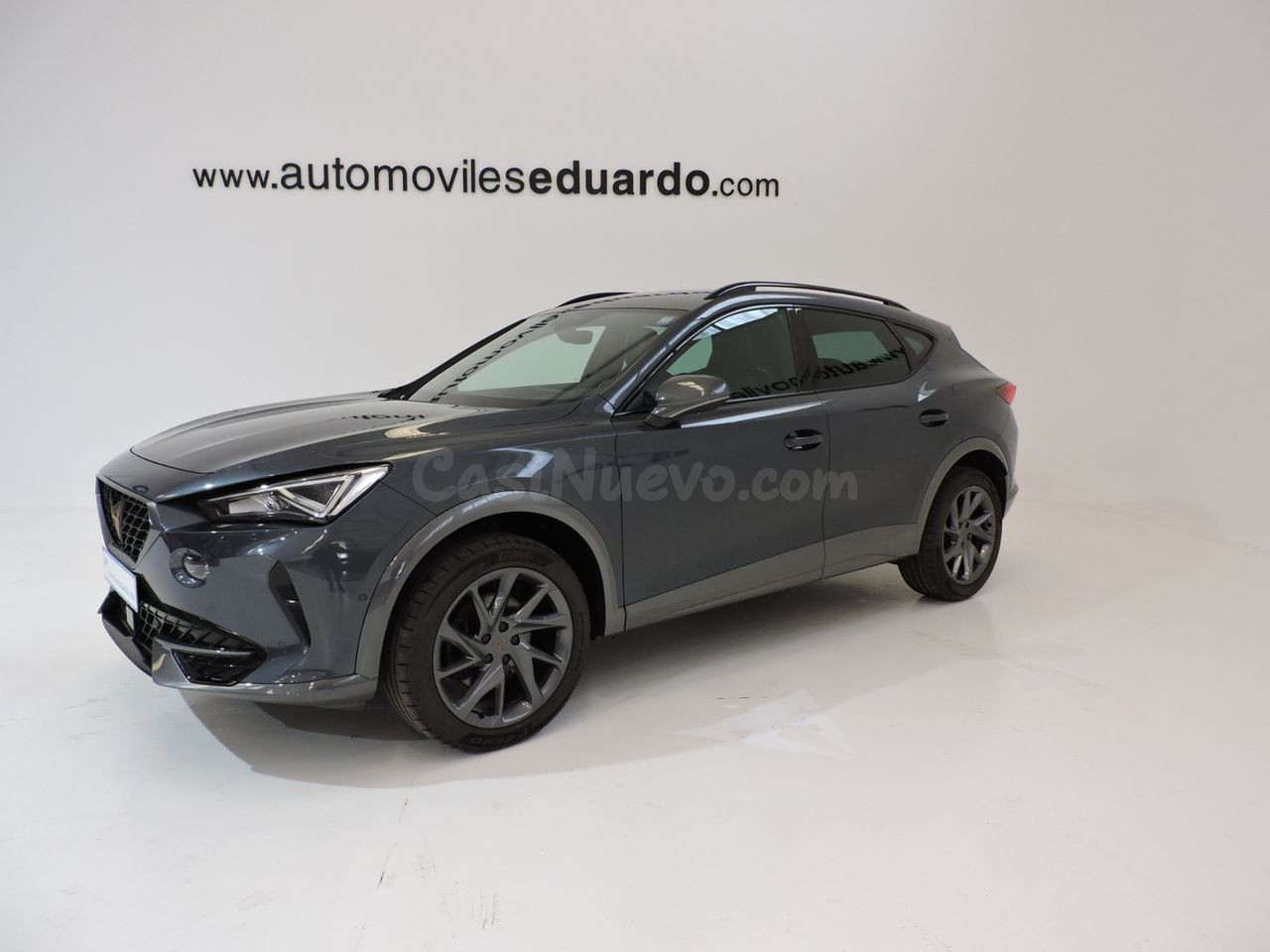 Cupra Formentor 2.0 TDI 110 kW