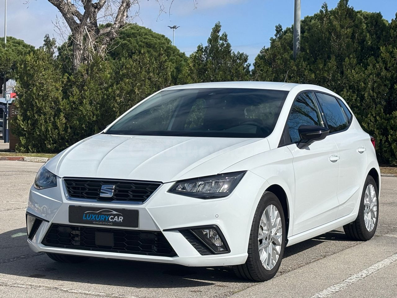 Seat Ibiza FR