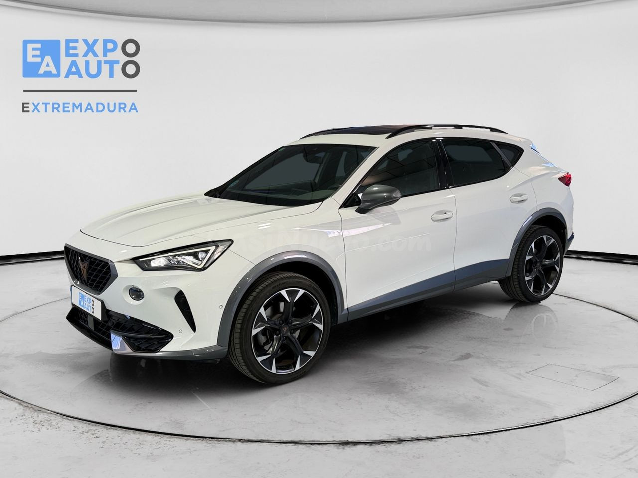 Cupra Formentor 2.0 TDI 110 kW (150 CV)