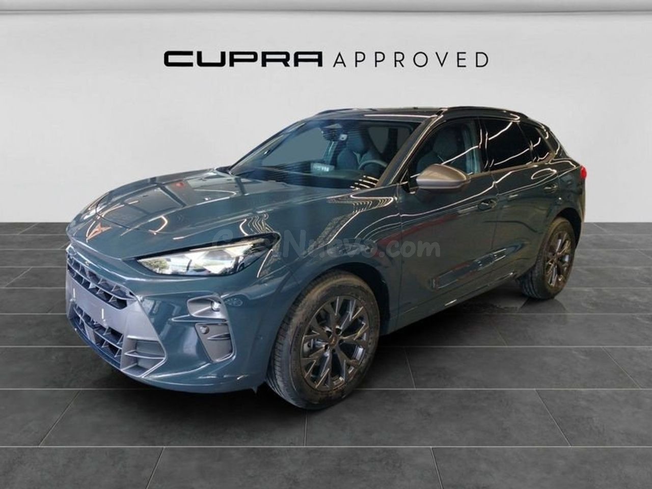 Cupra Terramar 1.5 ETSI MHEV 110KW DSG 5P