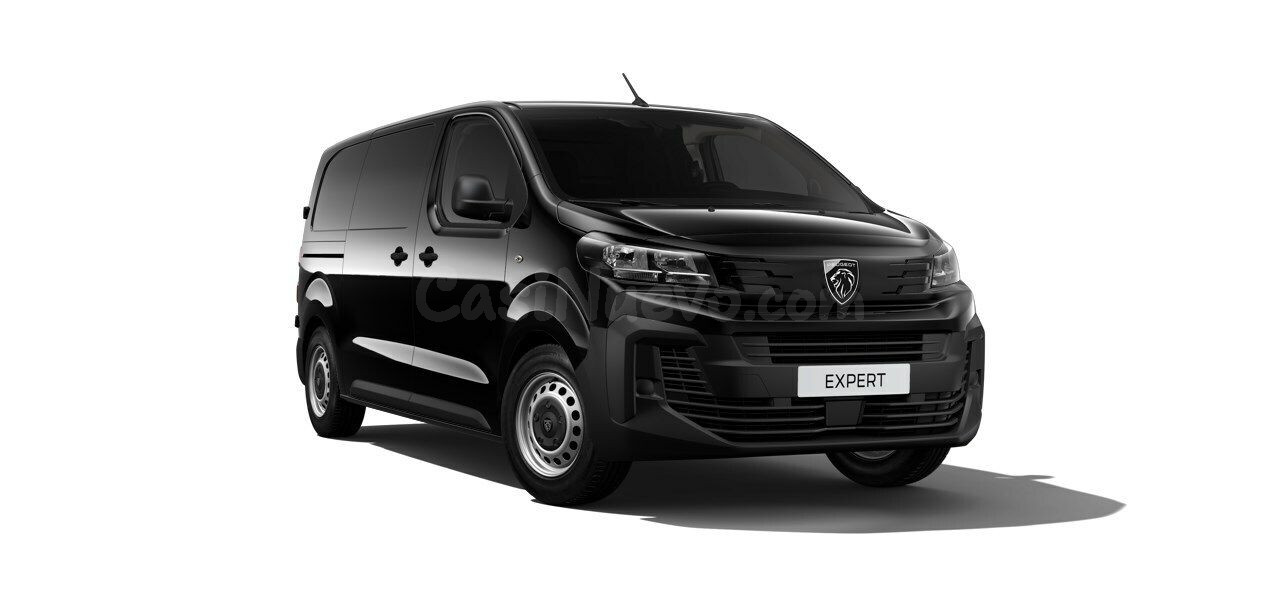 Peugeot Expert Furgón Pro 120CV MAN