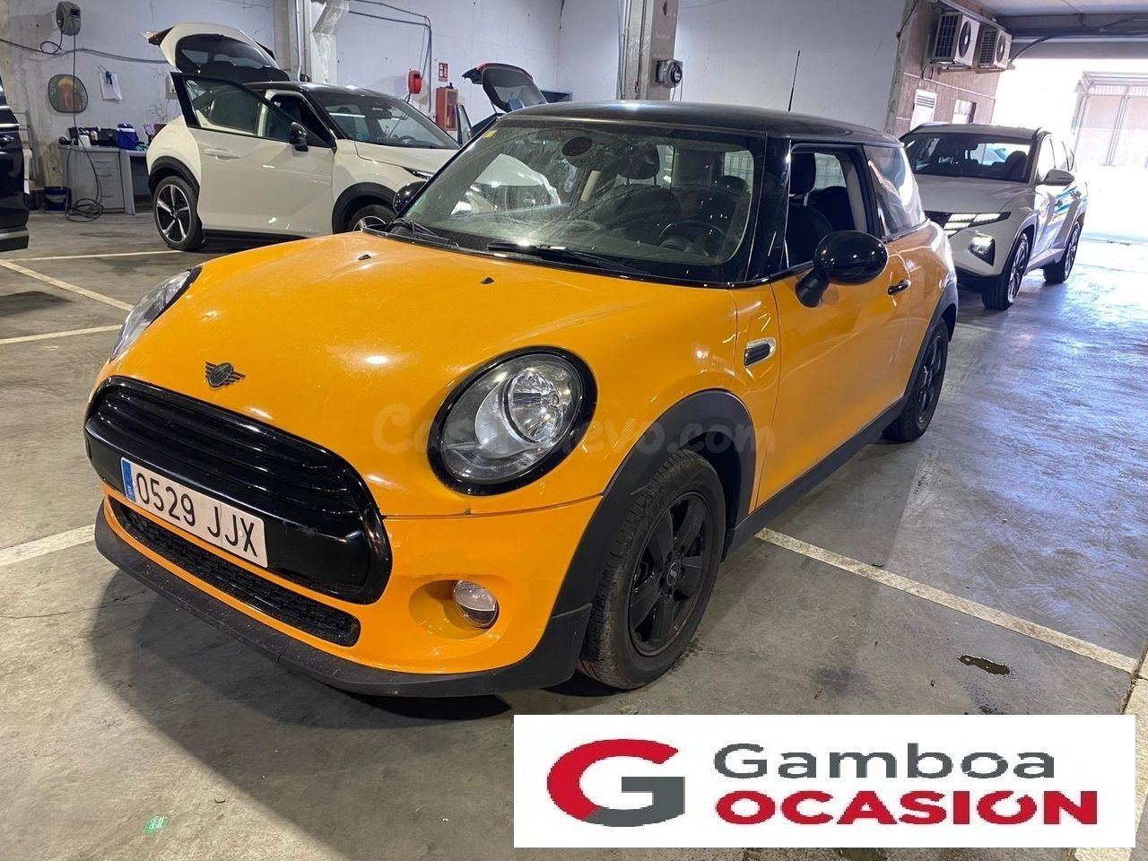 MINI MINI ONE