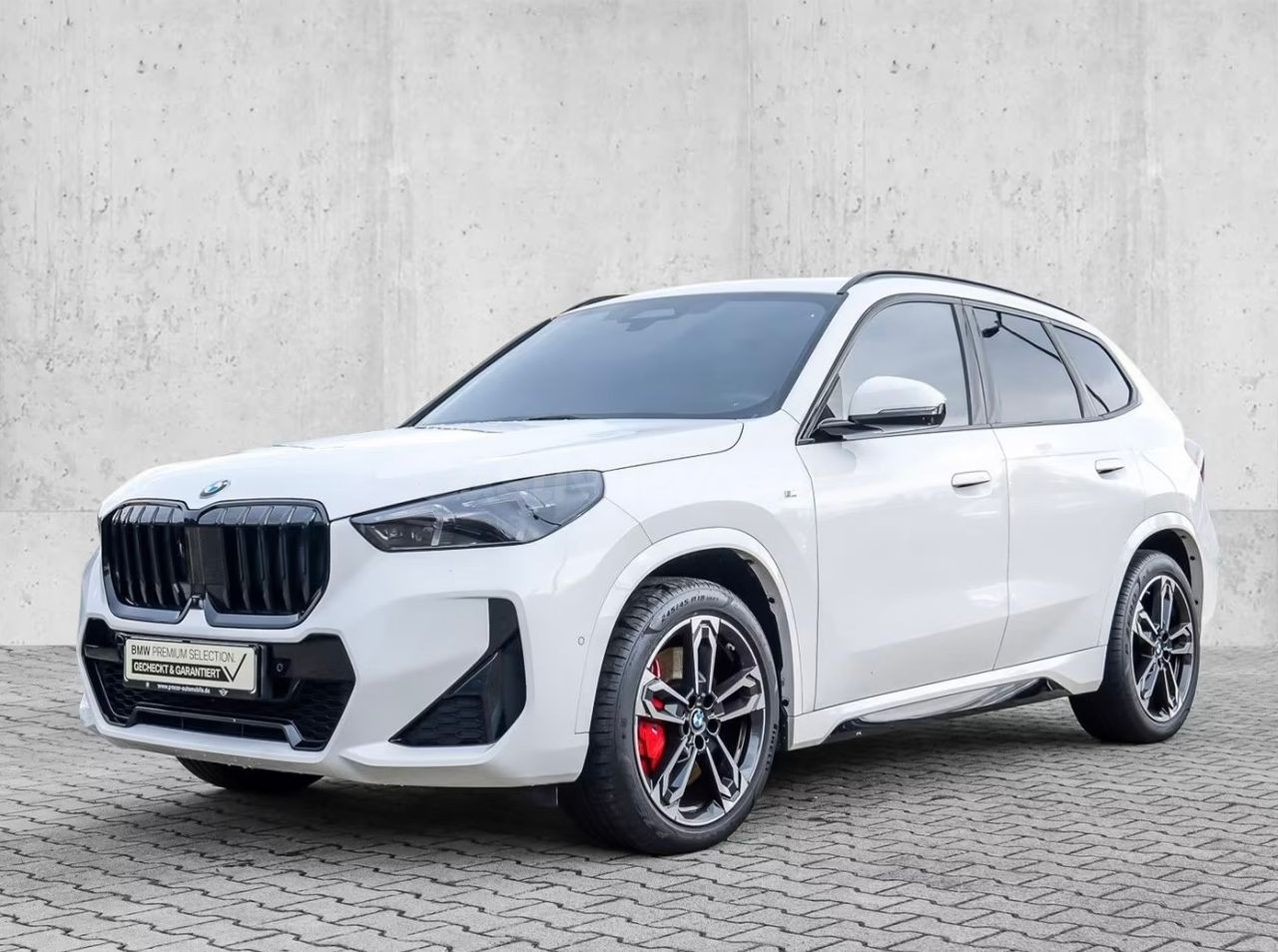 BMW X1 20d xDrive M Sport