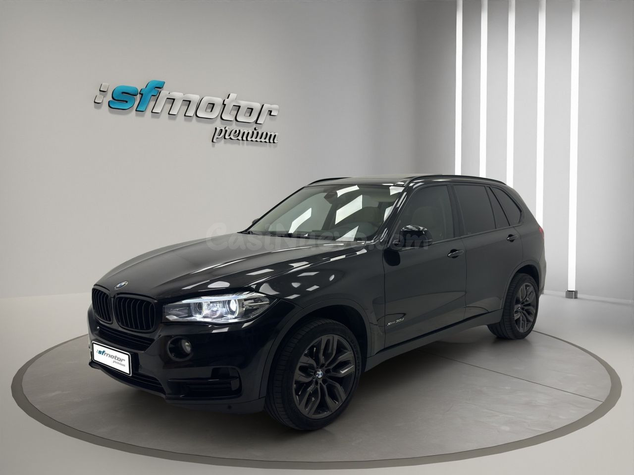 BMW X5 xDrive30d 258 CV