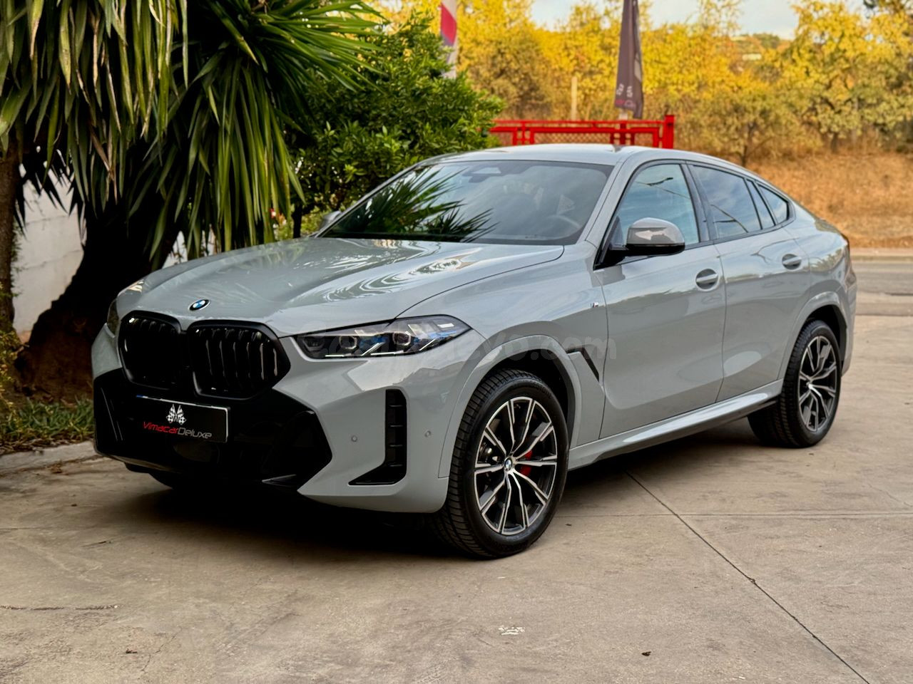 BMW X6 XDRIVE30D - foto 4