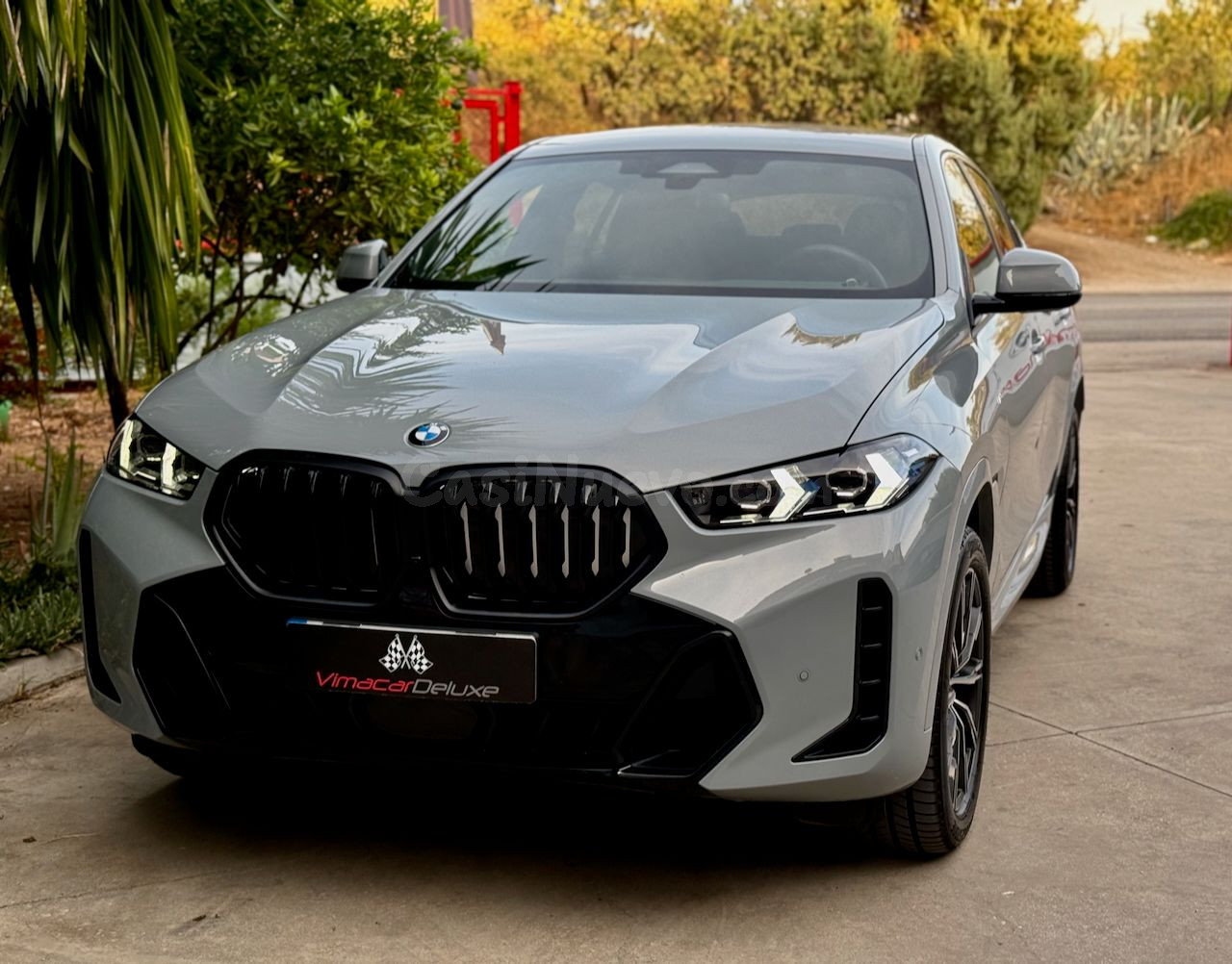 BMW X6 XDRIVE30D - foto 5
