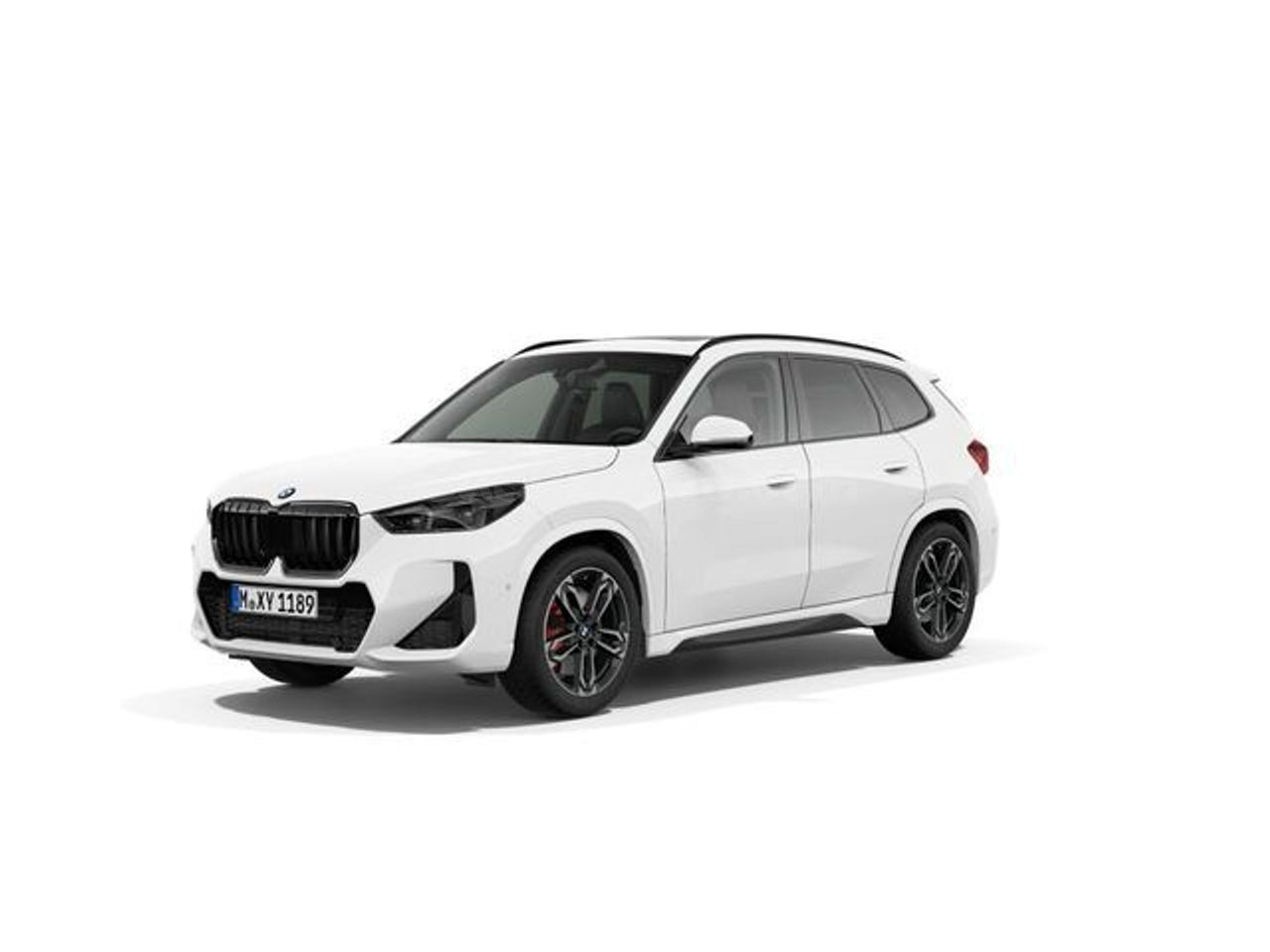 BMW X1 sdrive20d 120 kw (163 cv)