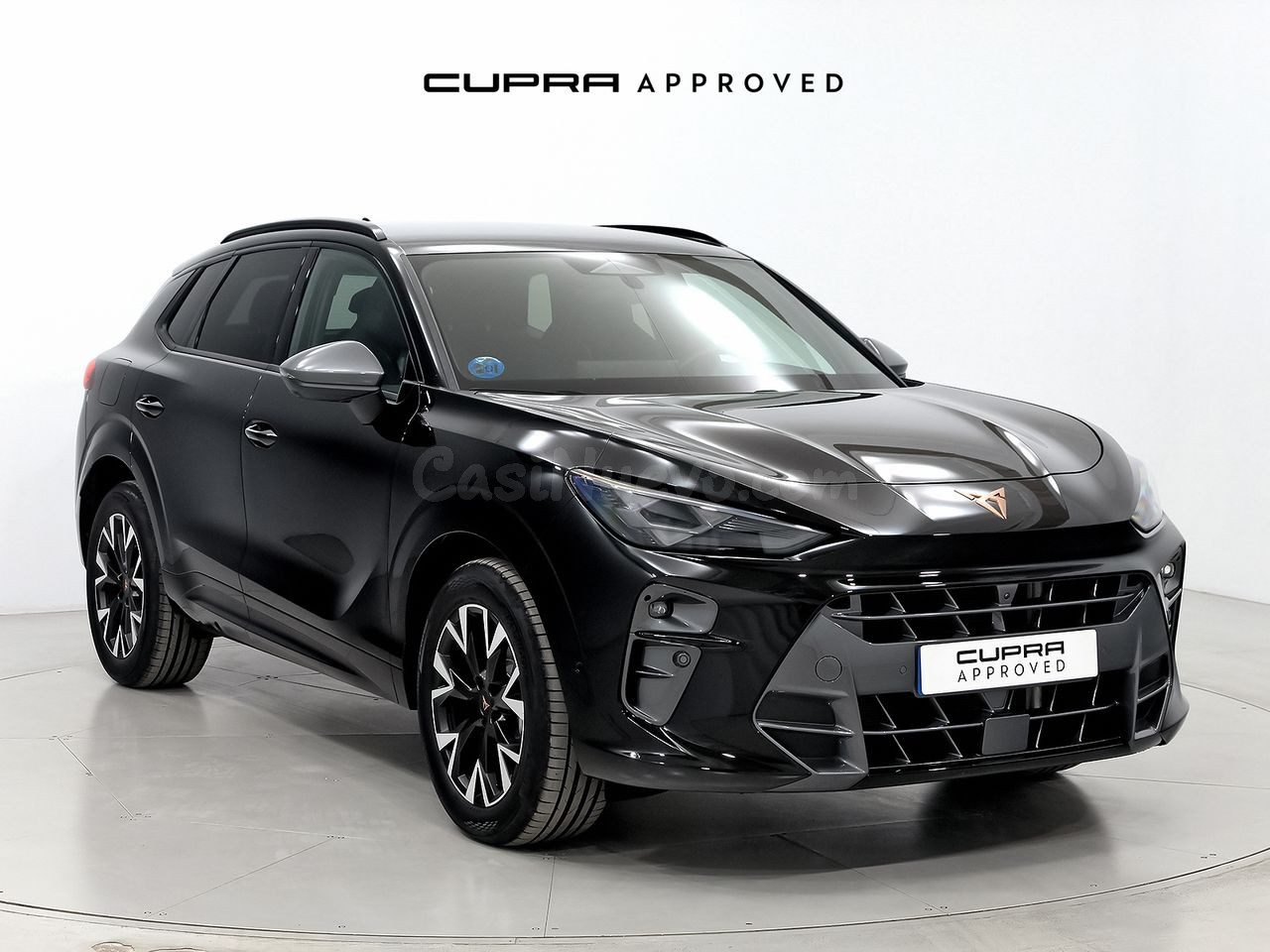 Cupra Terramar 1.5 TSI e-Hybrid 150kW (204 CV) DSG