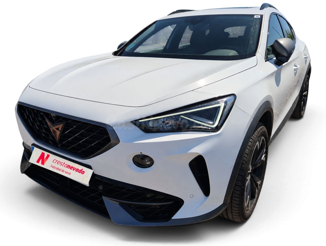 Cupra Formentor 1.5 TSI 110kW 150 CV DSG