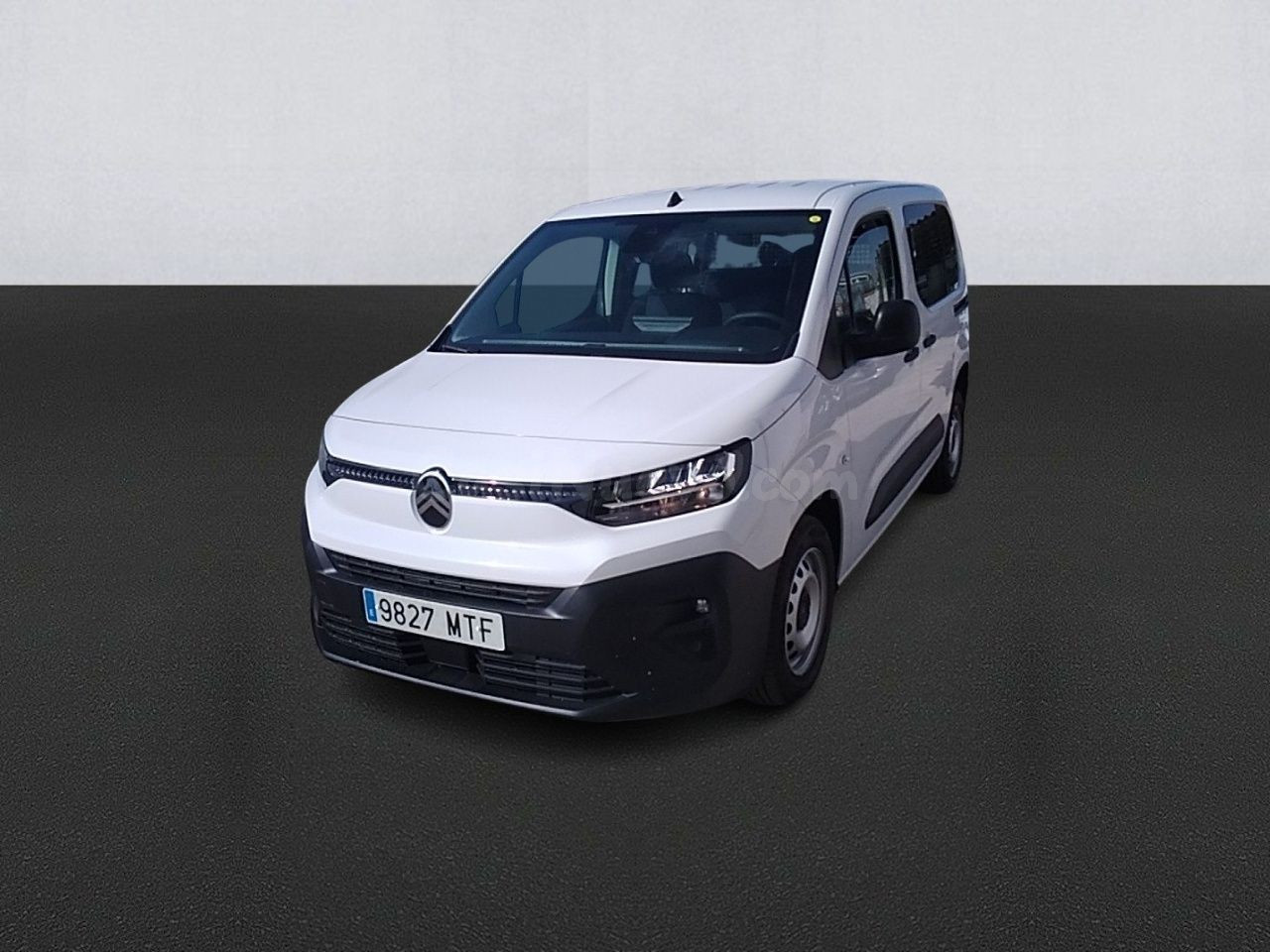 Citroen Berlingo Talla M Bluehdi 100 S&s You