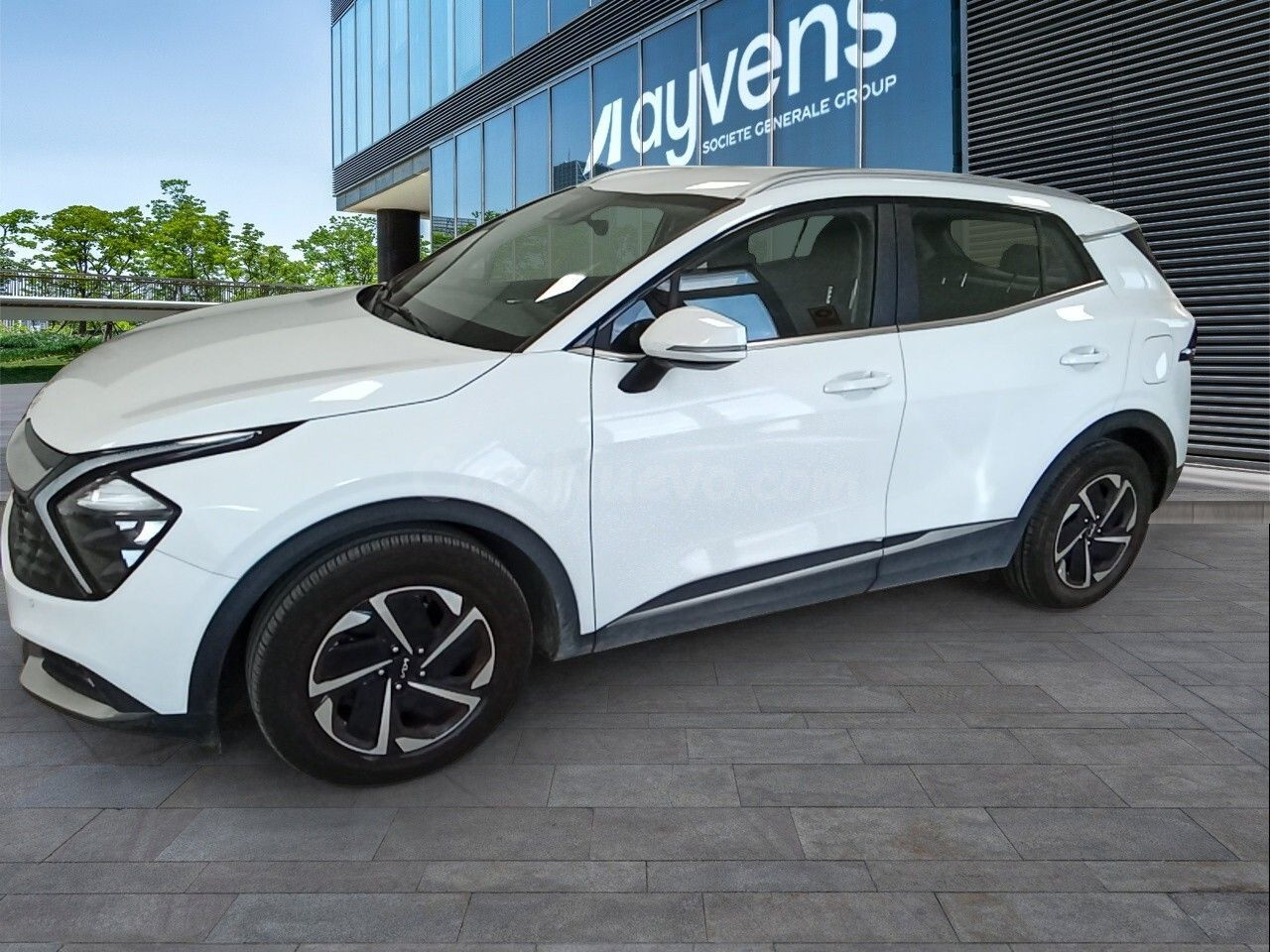 Kia Sportage 1.6 Crdi Mhev 100kw (136cv) Business 4x4
