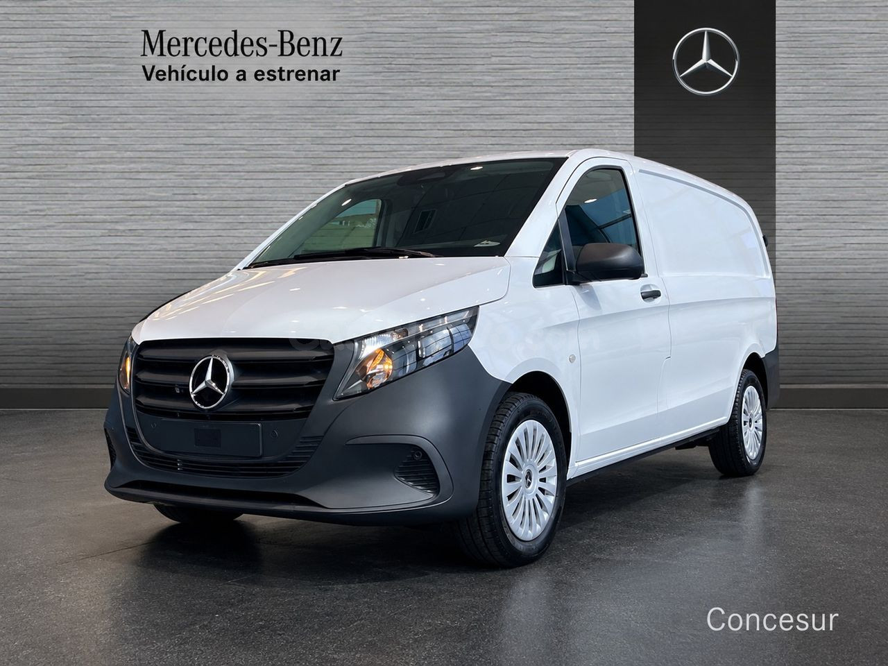 Mercedes Vito Largo Cargo CDI Furgón Profesional Pinto