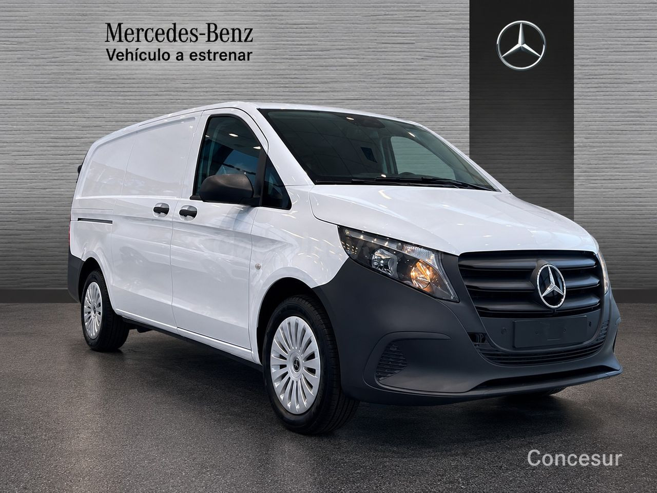 Mercedes Vito Largo Cargo CDI Furgón Profesional Pinto - foto 3