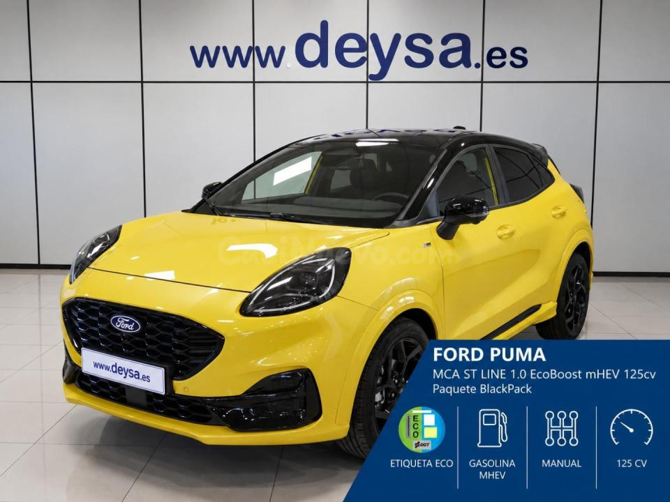 Ford Puma 125 CV Madrid Centro - 24 km - Ideal Transporte