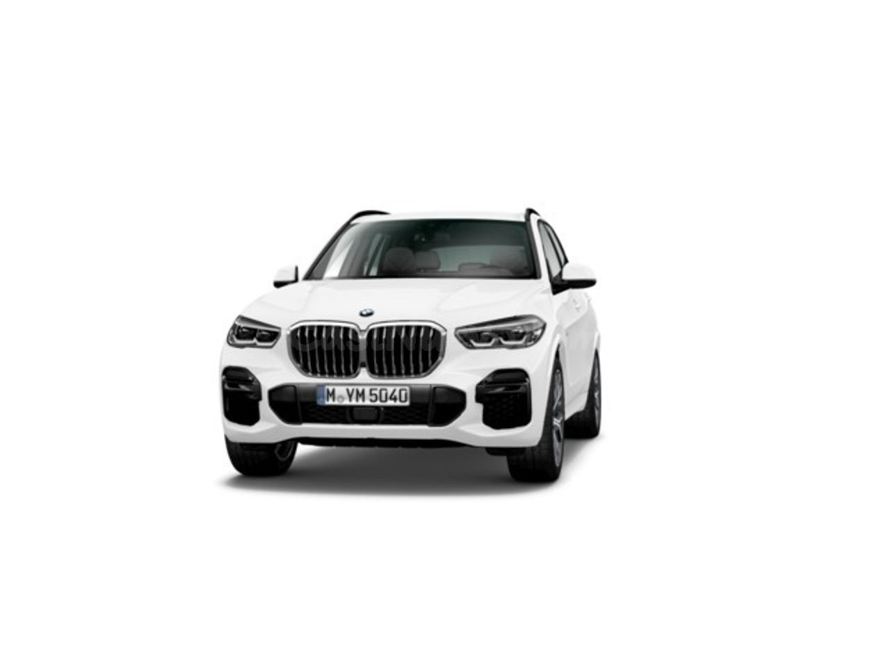 BMW X5 xdrive30d 210 kw (286 cv)