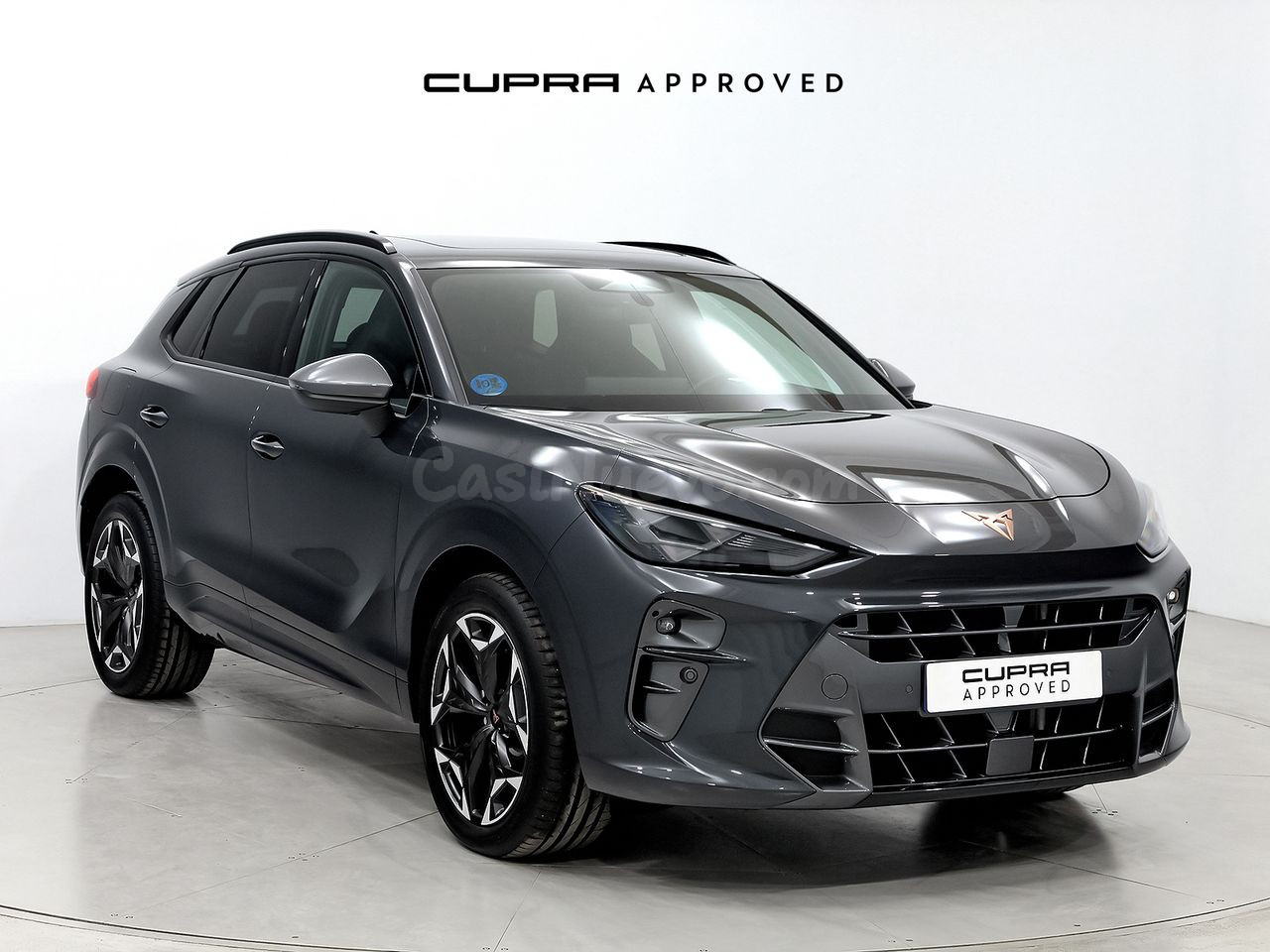 Cupra Terramar TERRAMAR 1.5 PHEV 204 DSG 5P