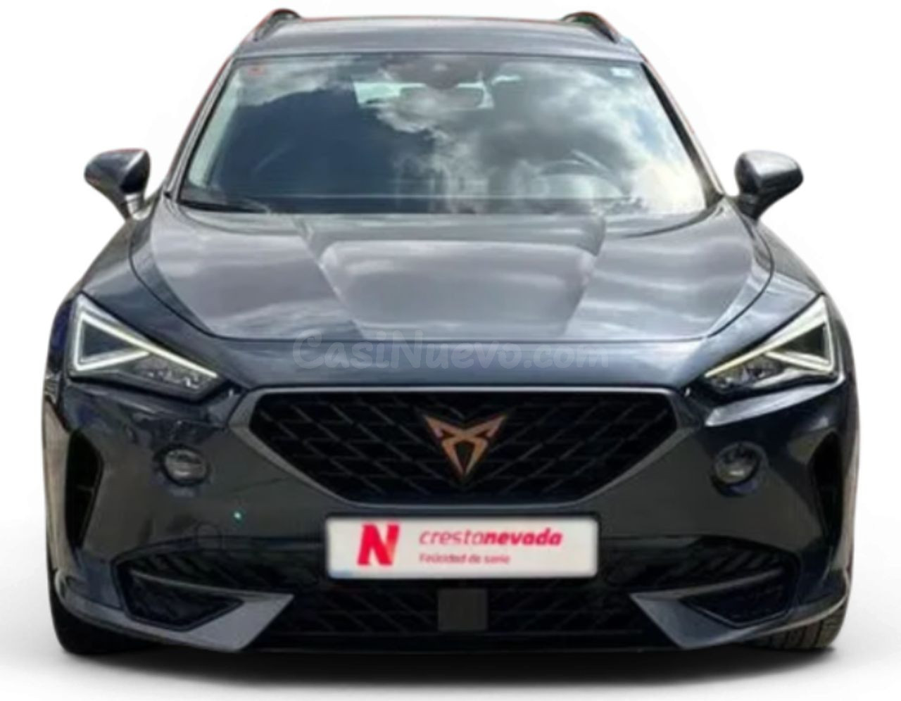 Cupra Formentor 1.5 TSI 110kW 150 CV - foto 2