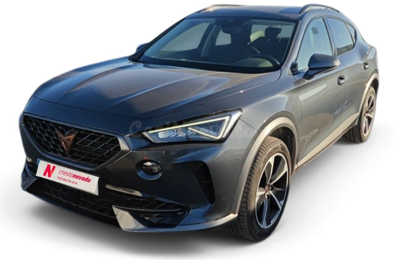 Cupra Formentor 2.0 TDI 110kW 150 CV