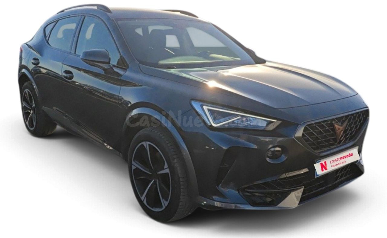 Cupra Formentor 2.0 TDI 110kW 150 CV - foto 2