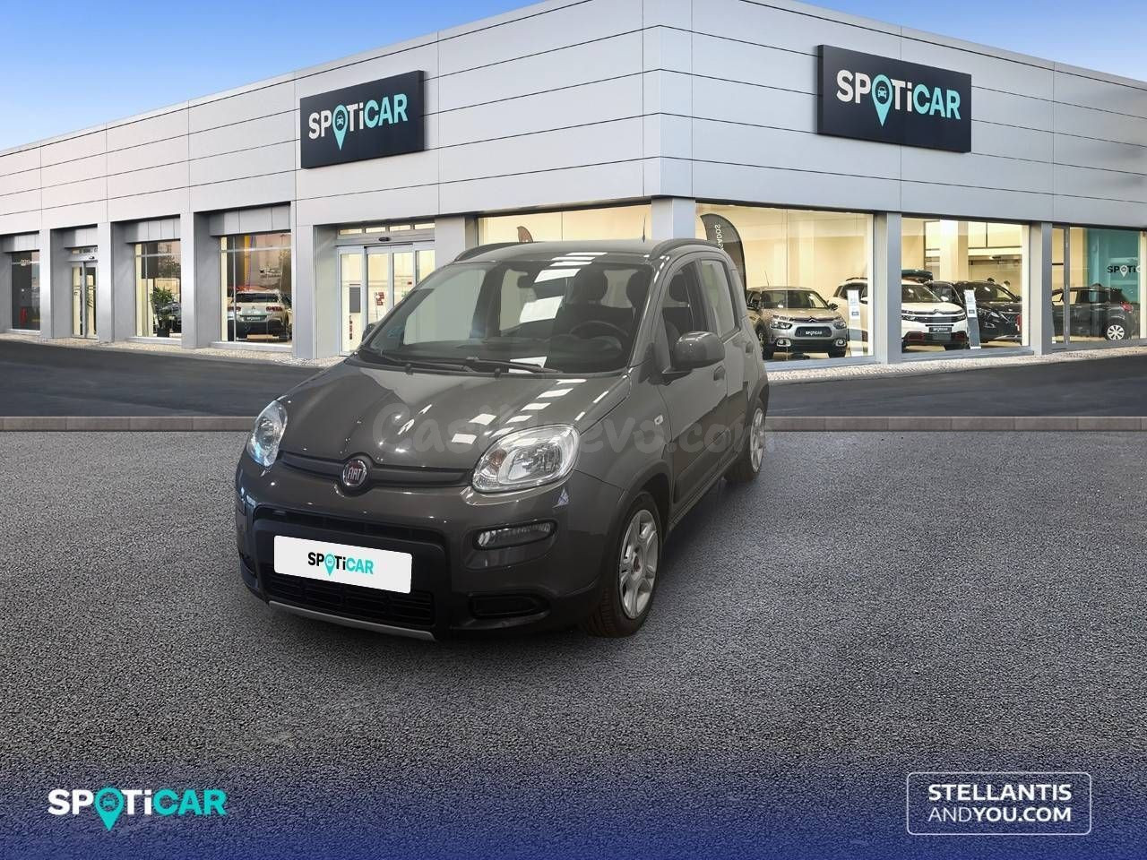Fiat Panda Hybrid 1.0 Gse 51kw (70CV) City Life