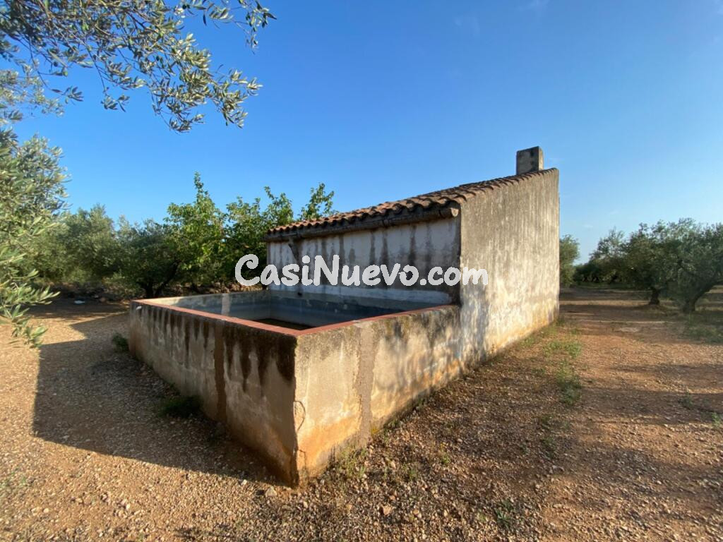 Fantástica finca con casa en la Miliana