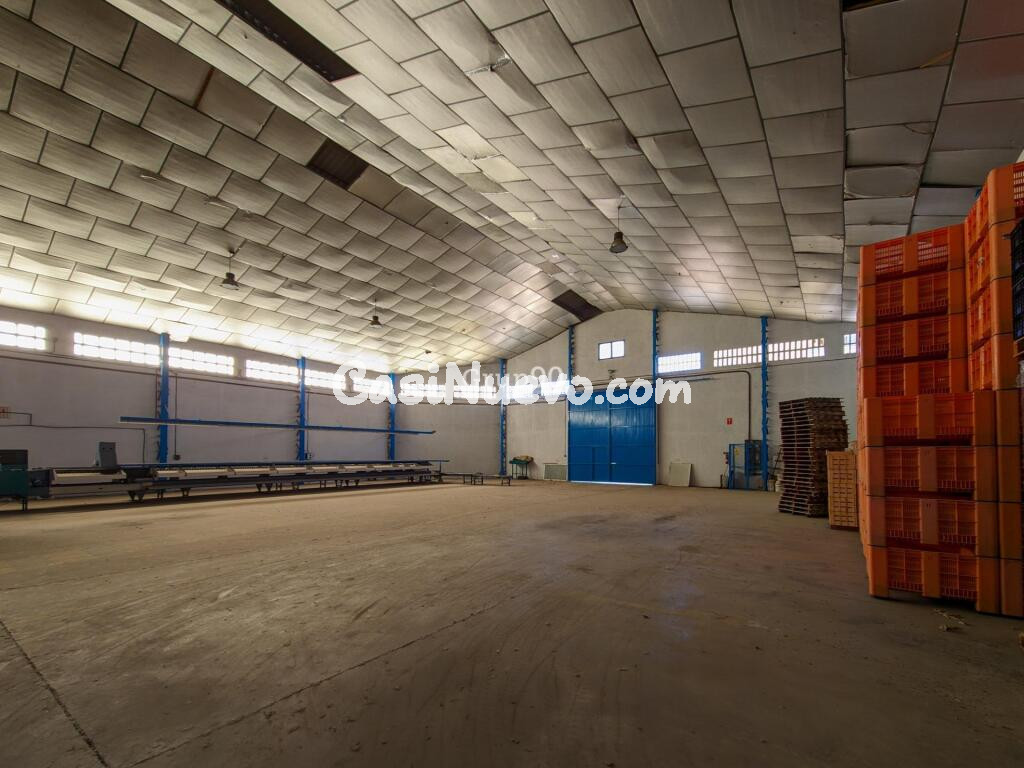NAVE INDUSTRIAL Y TERRENOS FRUTALES EN AITONA