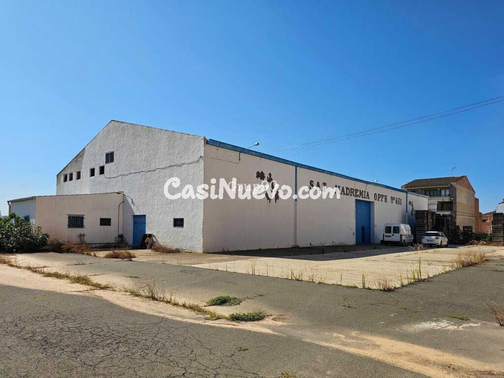 NAVE INDUSTRIAL Y TERRENOS FRUTALES EN AITONA