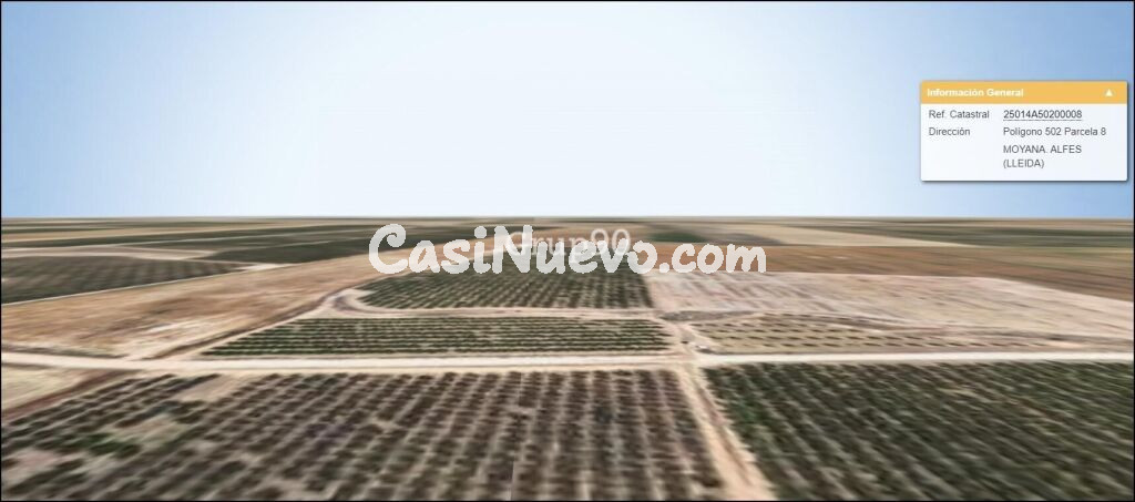 Terreno Rústico en Alfés – 50,000 m2