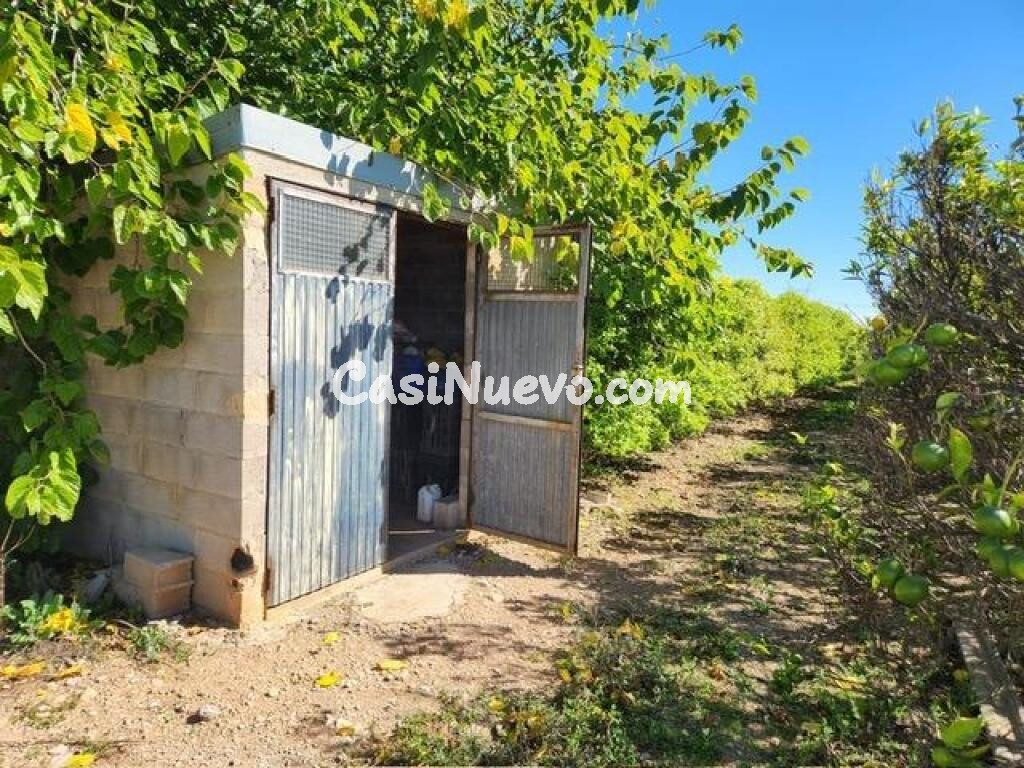 Fantástico terreno de naranjos
