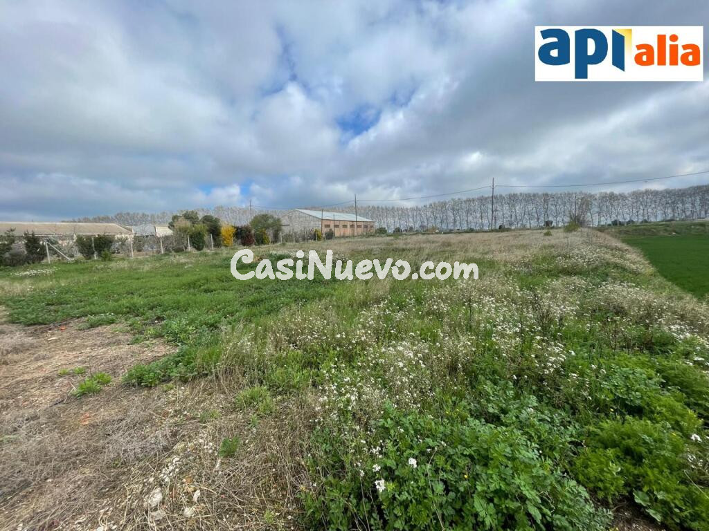 EXCLUSIVA APIALIA ¡OPORTUNIDAD! TERRENO RÚSTICO EN MOLLERUSSA ?