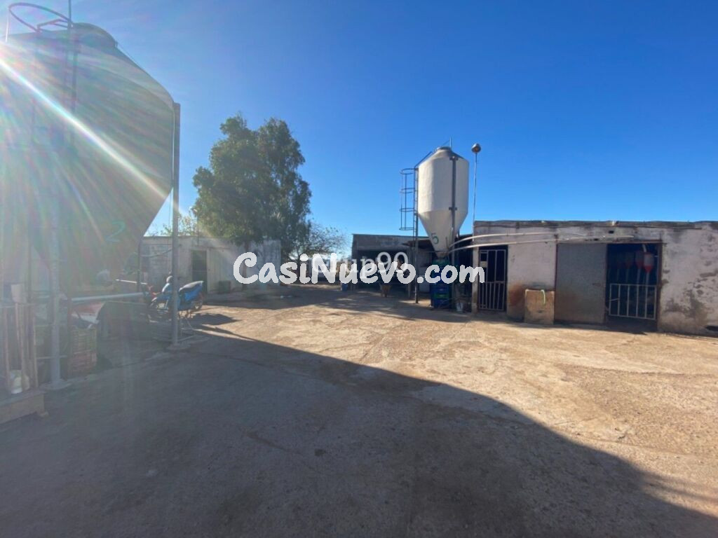 Granja en pleno funcionamiento cerca de Torreblanca